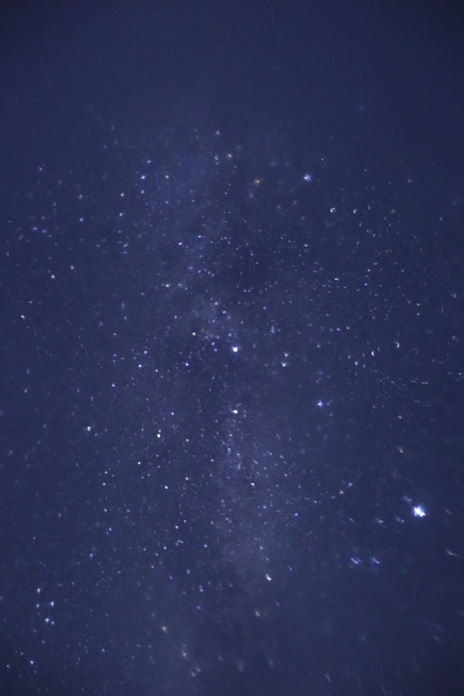 Hermosa vista de estrellas dispersas en el cielo nocturno