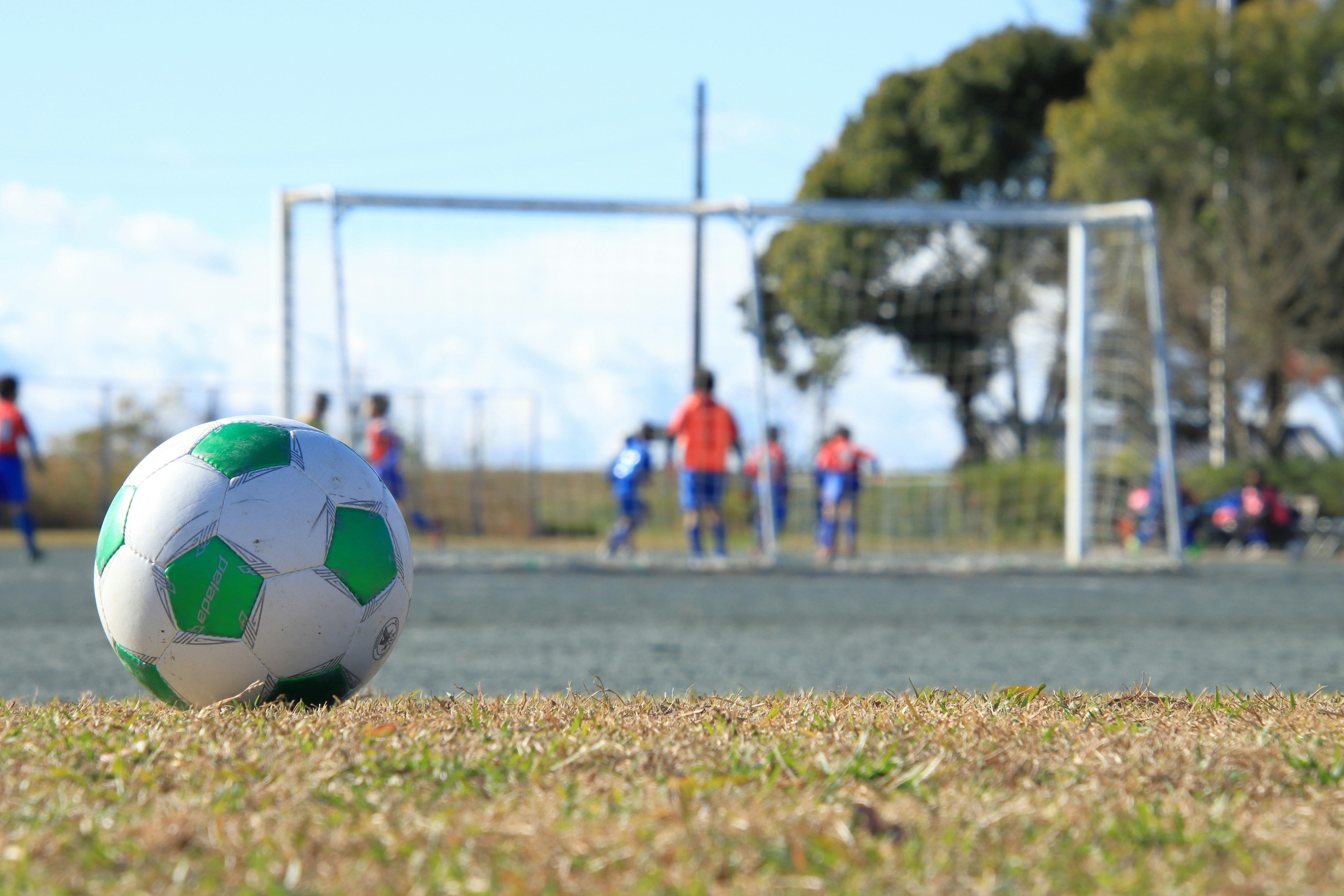 Fußball auf dem Rasen mit Tor im Hintergrund