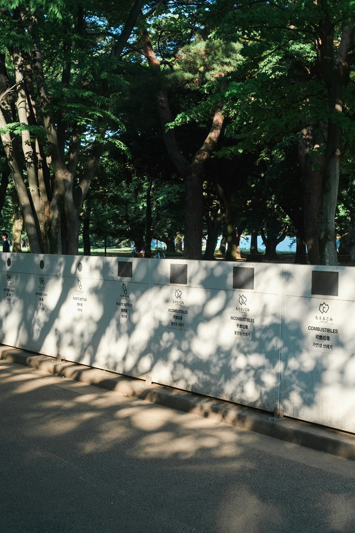 木漏れ日が差し込む公園のゴミ箱と緑の並木