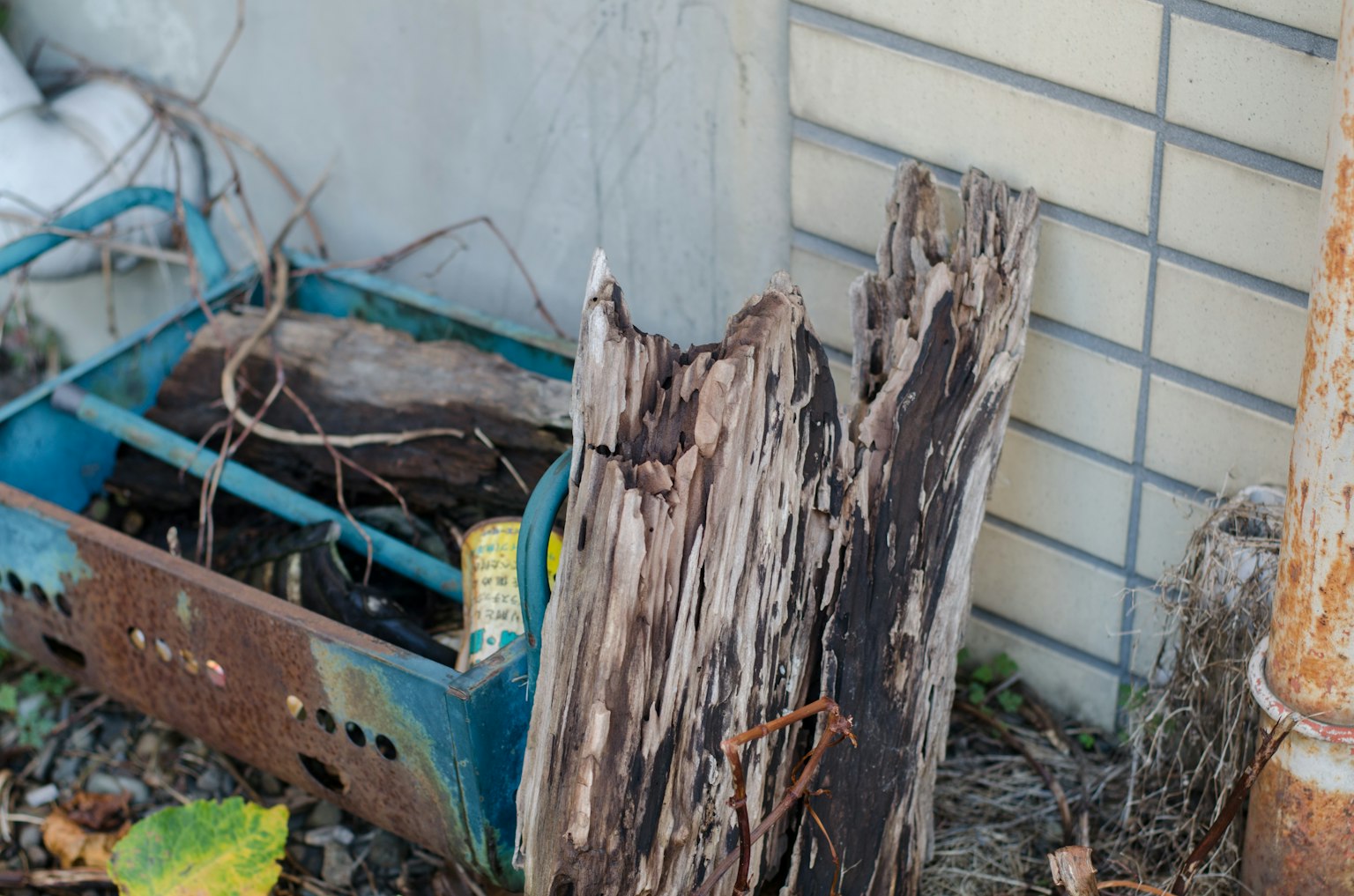 A scene featuring weathered wood and a blue plastic container among debris