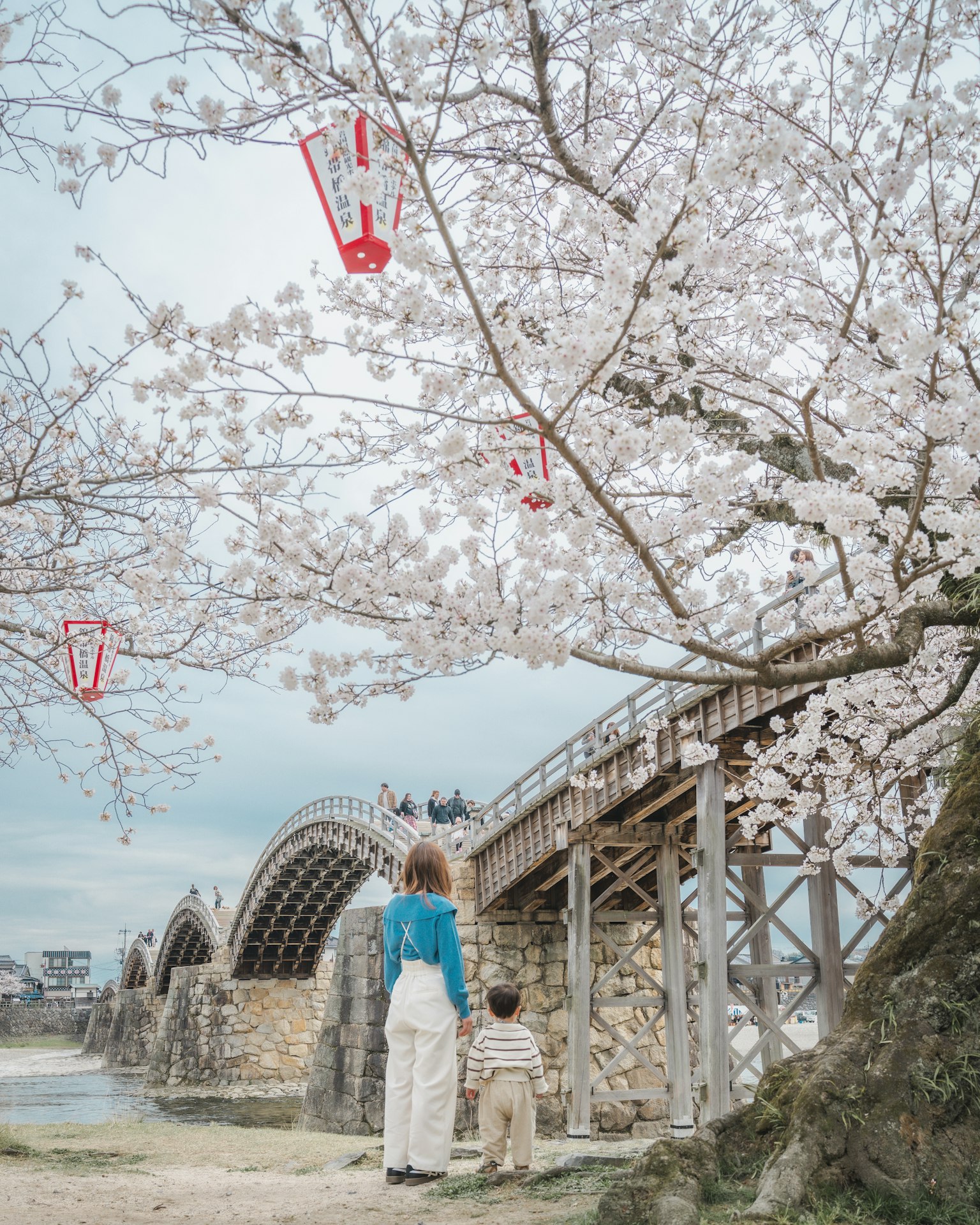 A parent and child standing under a cherry blossom tree with a bridge in the background