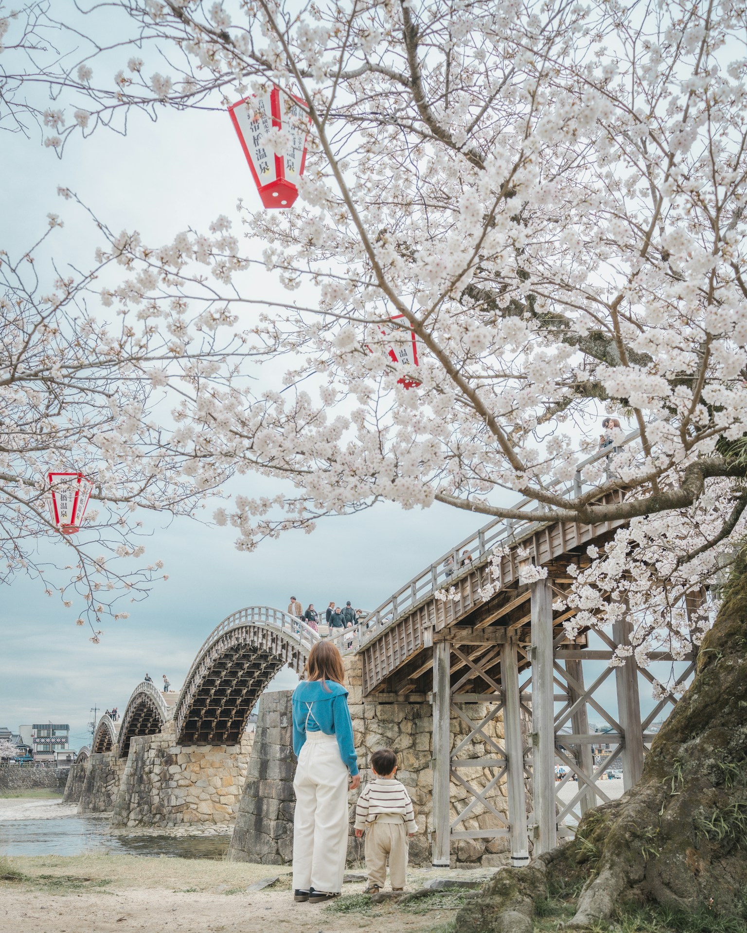A parent and child standing under a cherry blossom tree with a bridge in the background