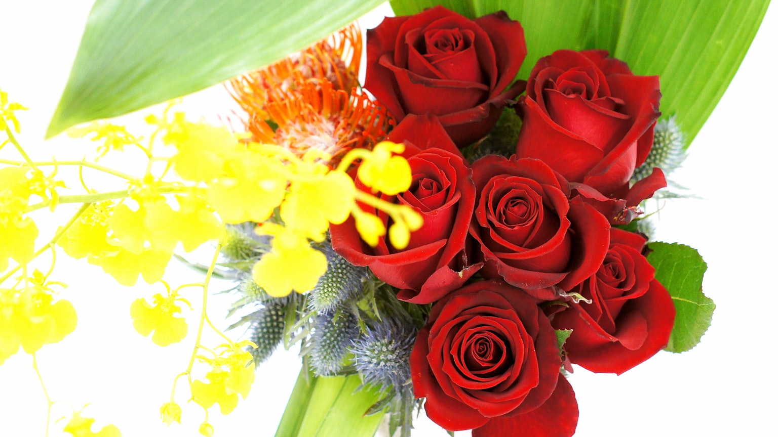 Sekuntum mawar merah dengan bunga kuning dan daun hijau
