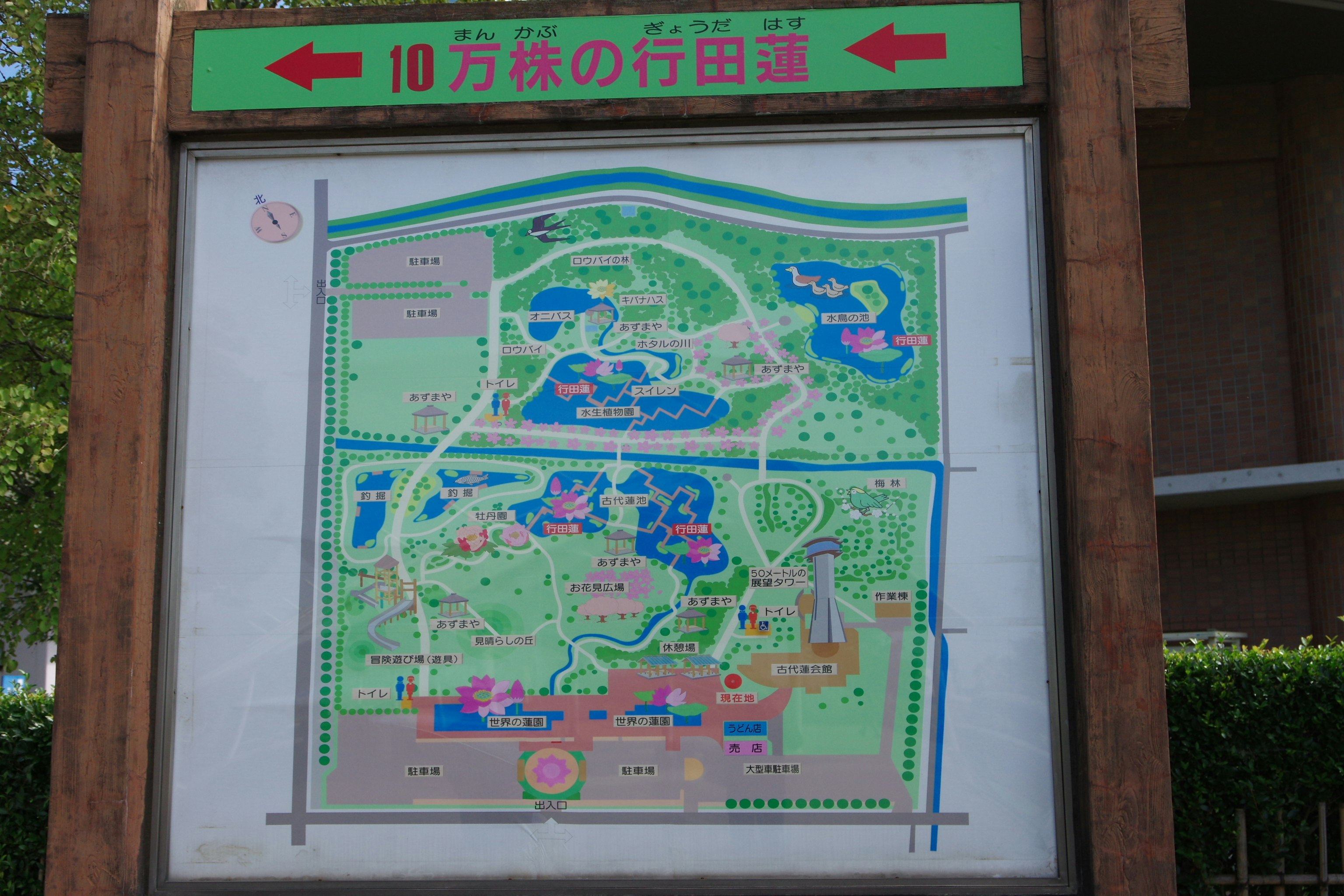 緑の案内板に描かれた地図と矢印の看板