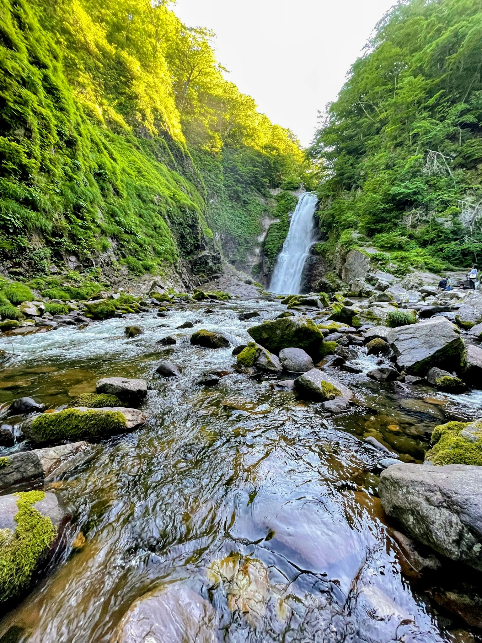 Scenic view of a waterfall surrounded by lush greenery and rocky riverbed