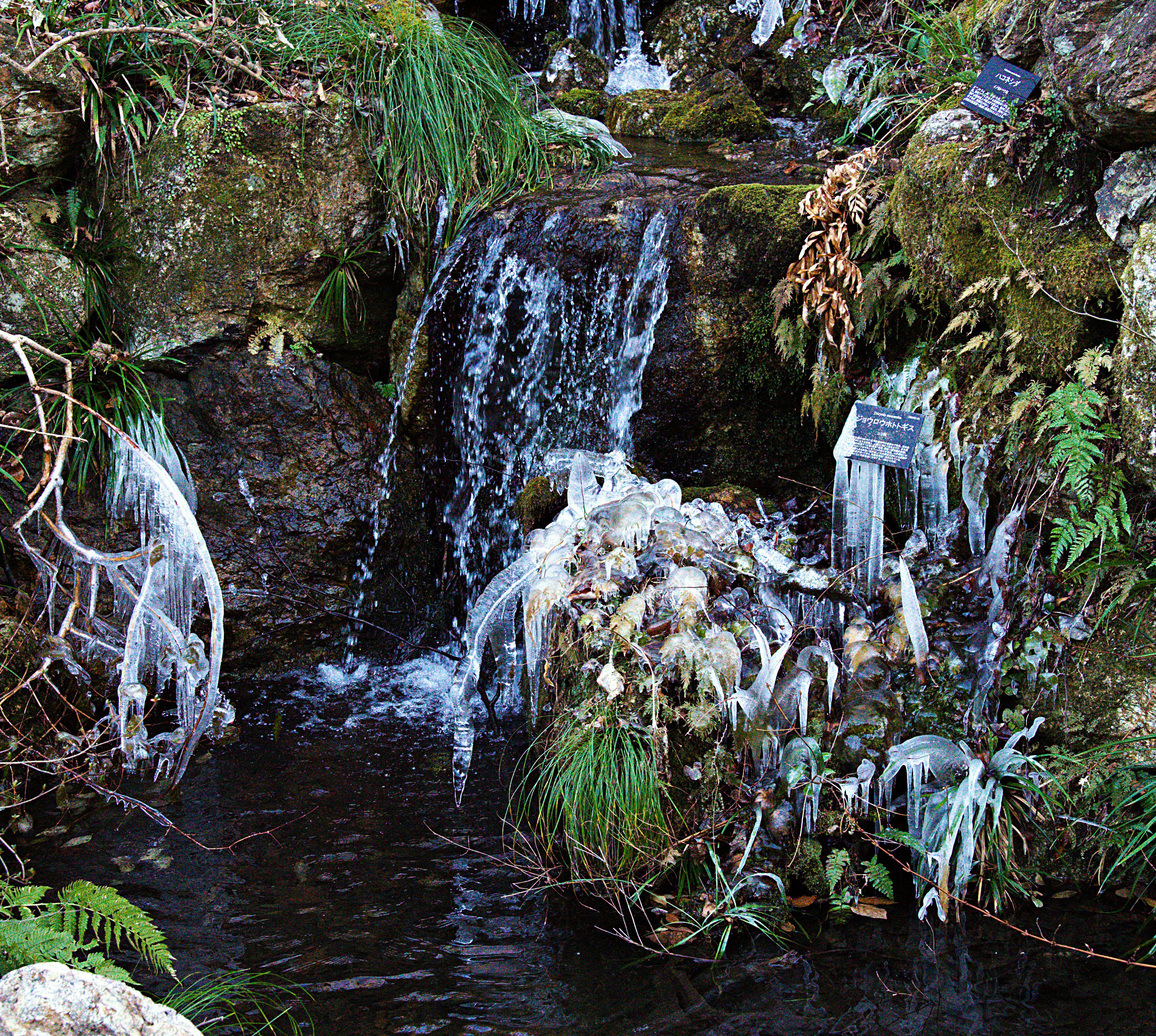 une petite cascade et des glaçons sur un ruisseau couvert de mousse