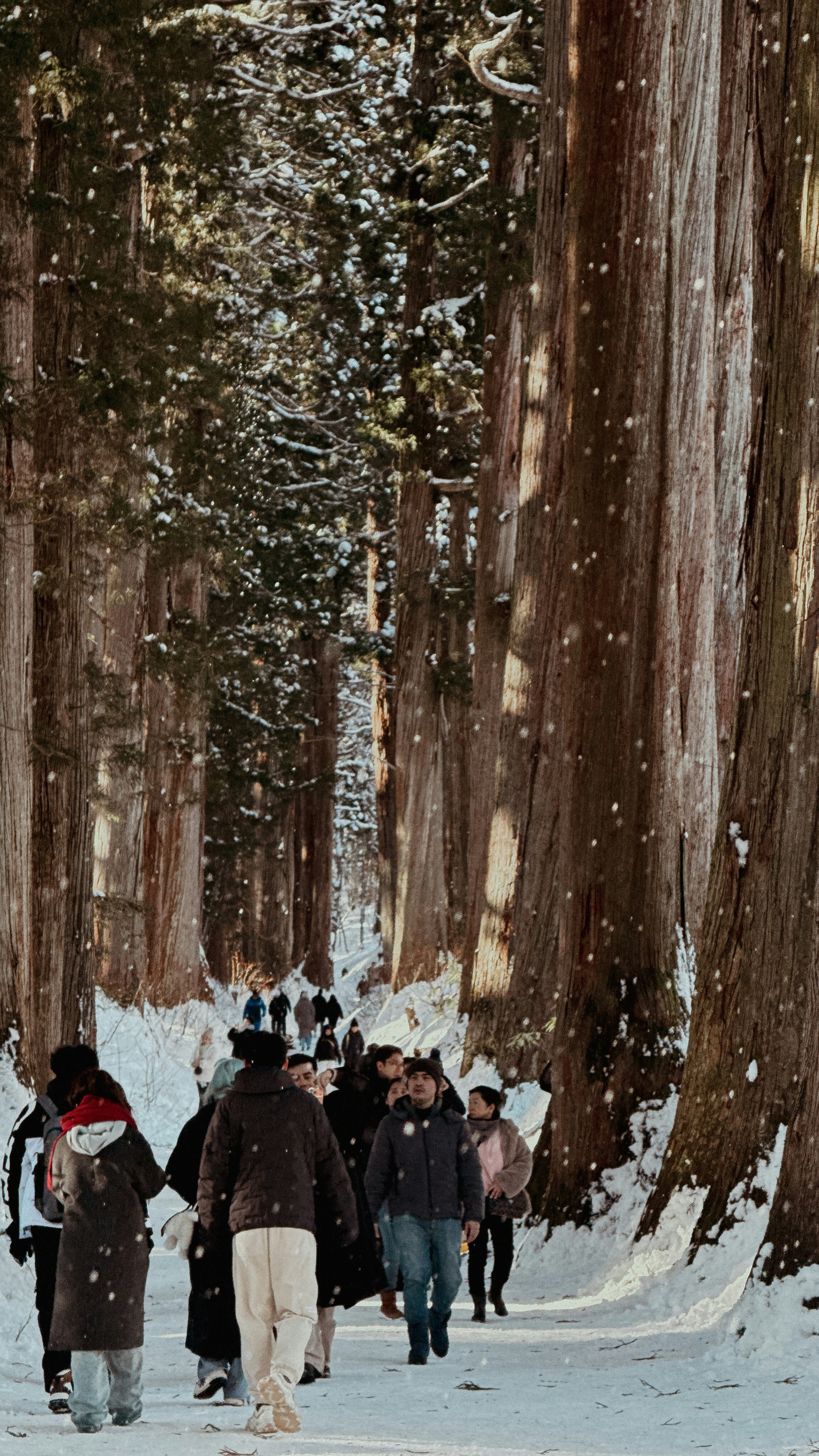 雪の森を歩く人々の列