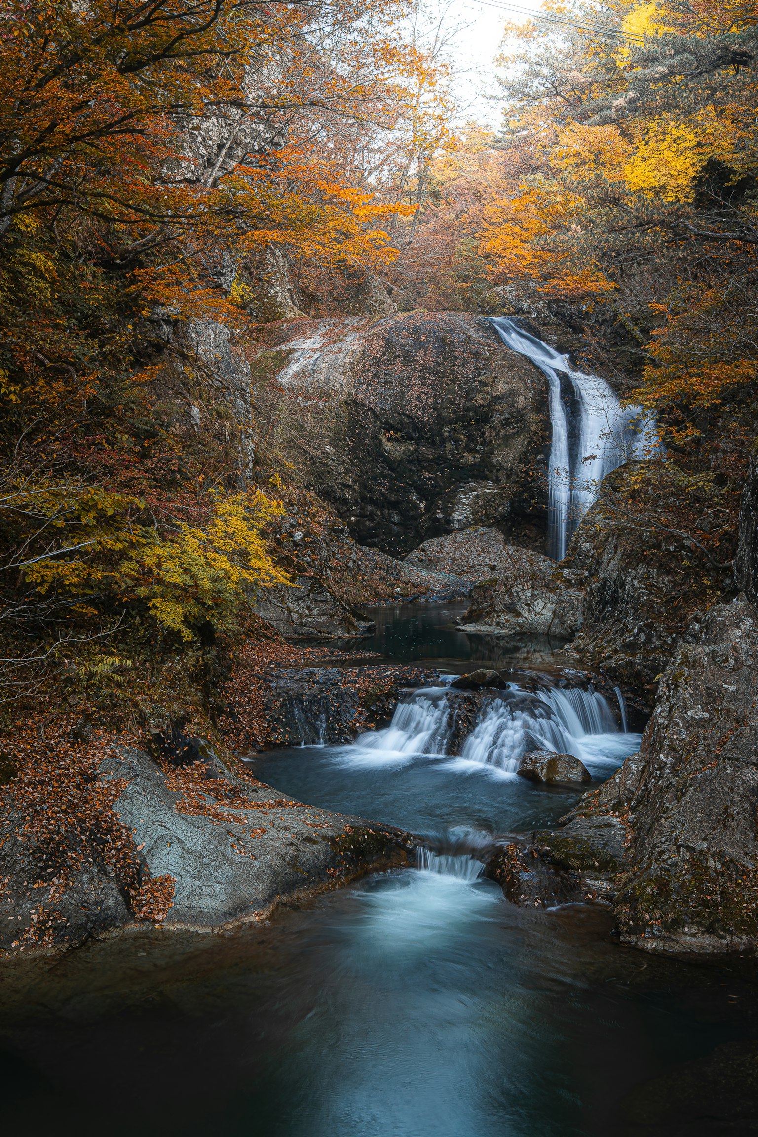 photo-ZK4xc7nRu9892r6YWLWd-image