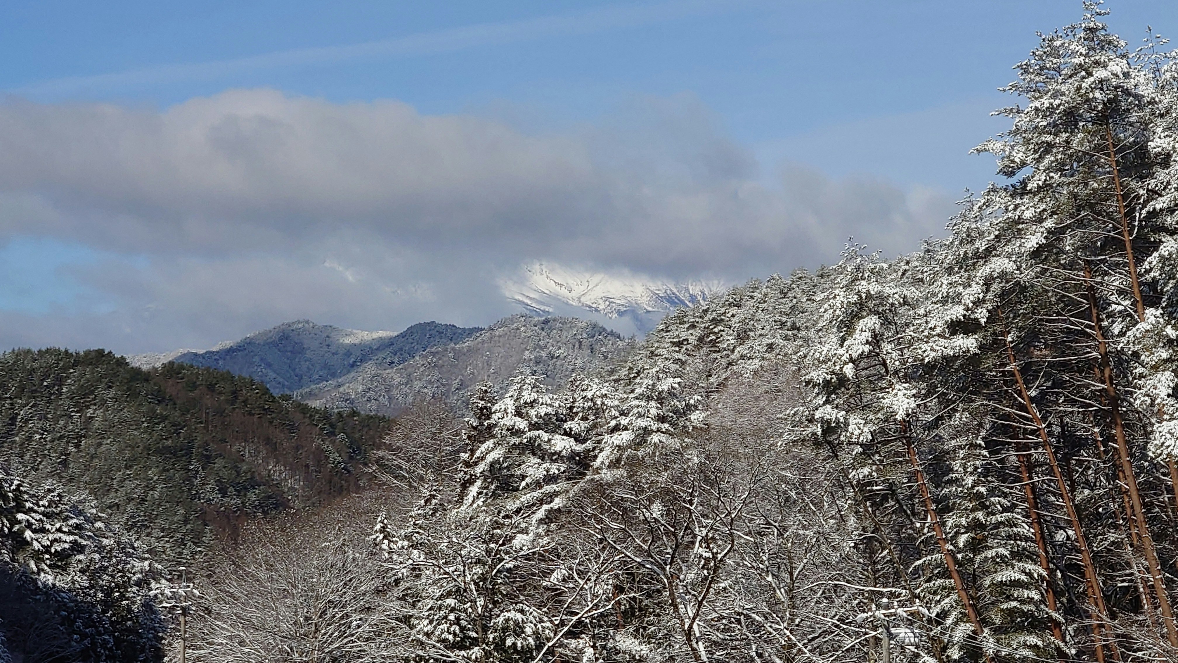 Snow-dusted mountains and conifer forest under a blue sky with clouds