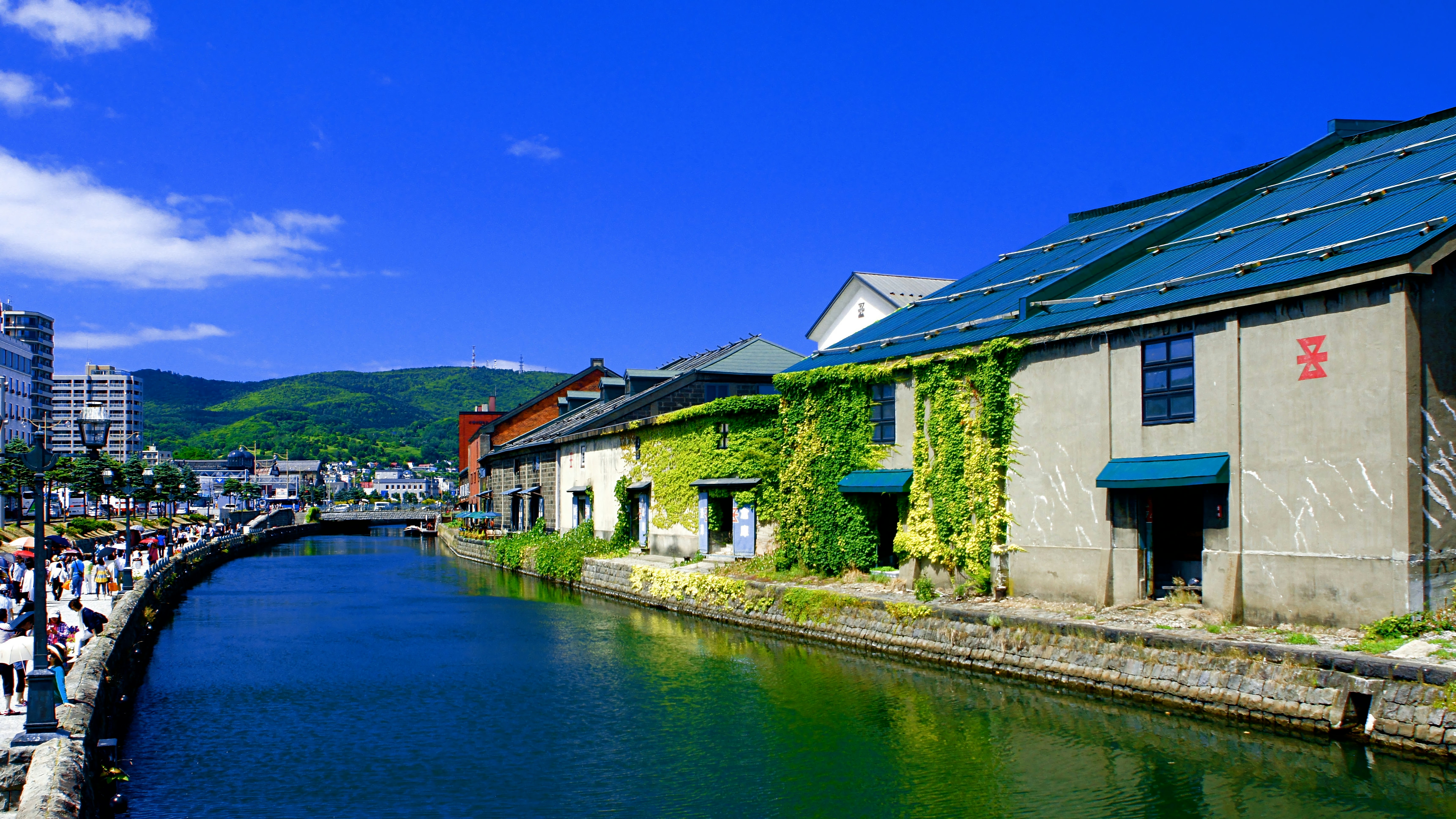 運河沿いに並ぶ蔦の壁と石造りの建物の風景
