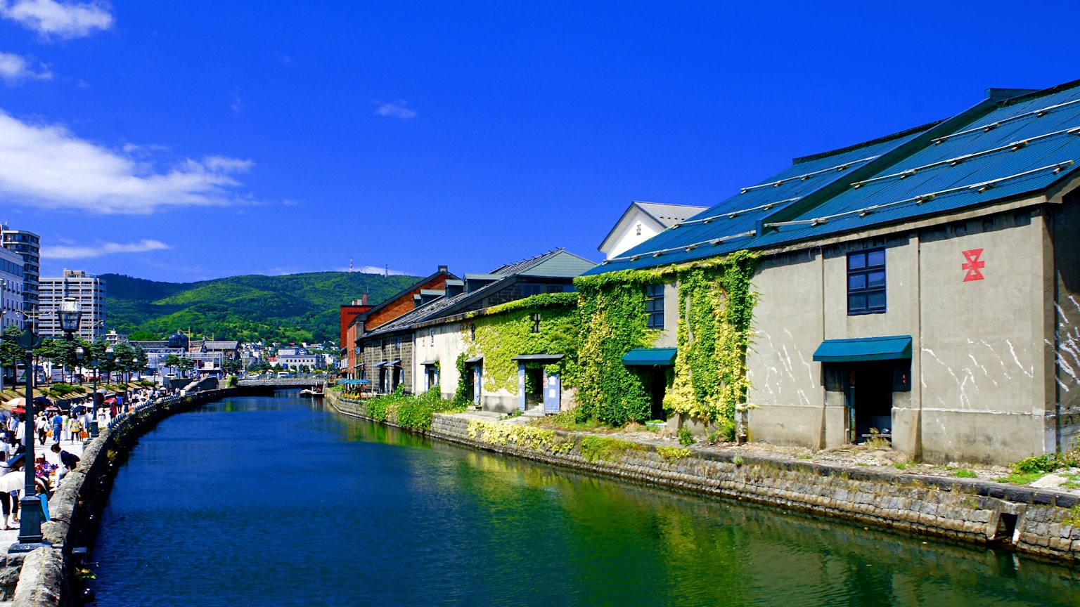 Vista escénica de almacenes con vides verdes a lo largo de un canal bajo un cielo azul claro