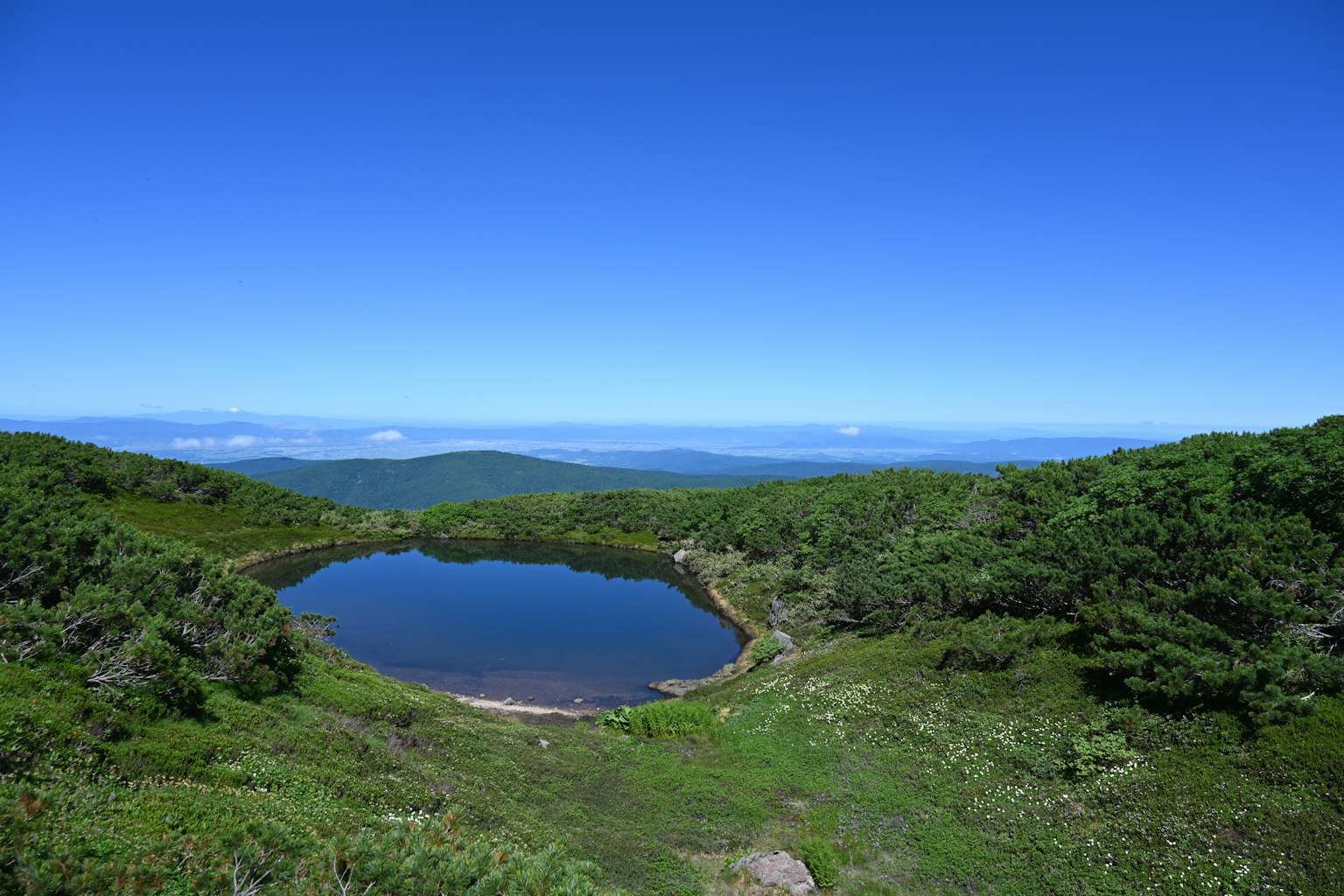 Malersicher Blick auf einen ruhigen Teich, umgeben von üppigem Grün unter einem klaren blauen Himmel