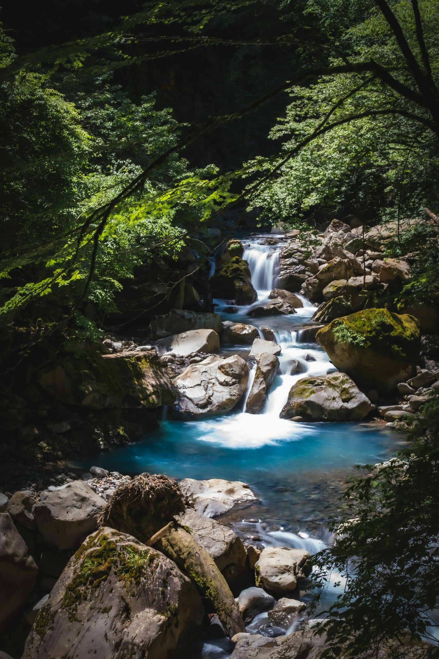 Un bellissimo torrente che scorre attraverso una foresta verdeggiante con rocce