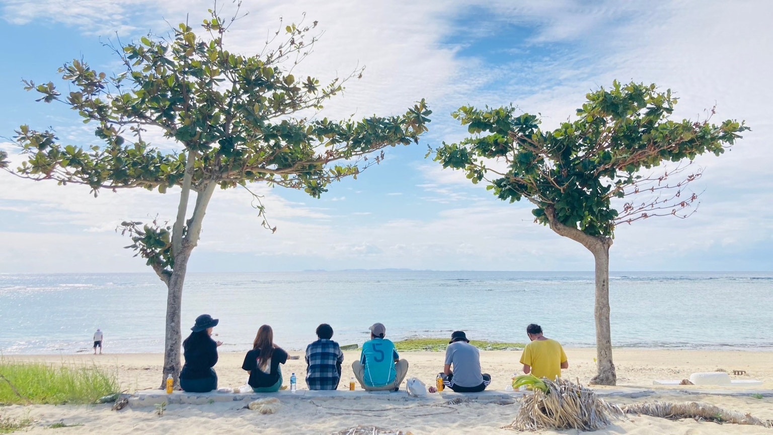 Enam orang duduk di pantai dengan dua pohon