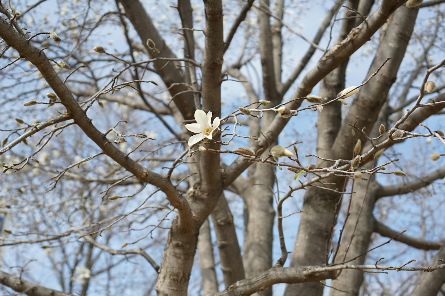 photo-ZLussH5p3kd6FRq7Cdai-image
