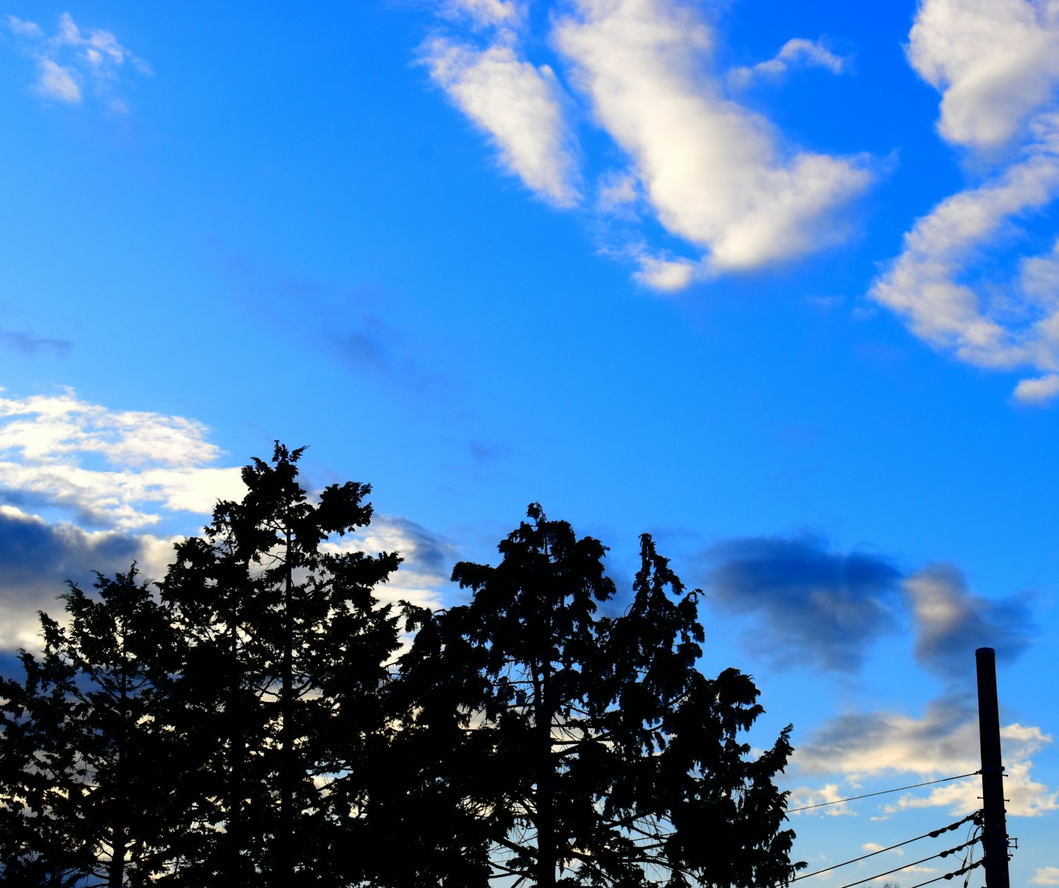 A landscape featuring a blue sky with white clouds and silhouetted trees