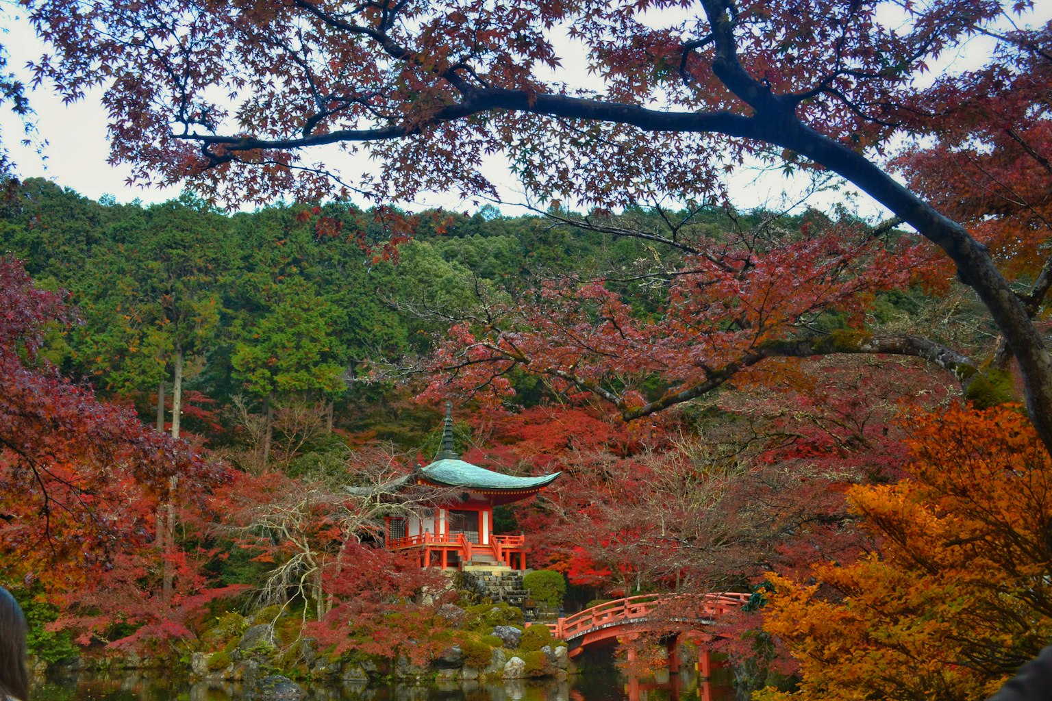 Templo japonés rodeado de hermosas hojas de otoño