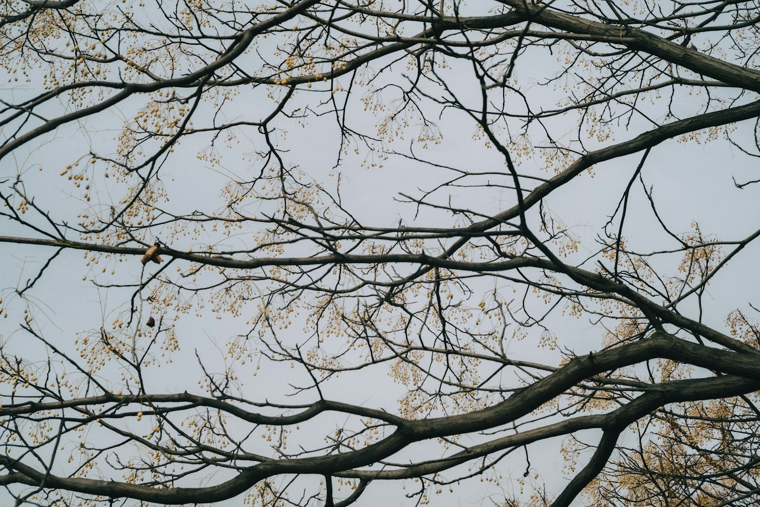 photo-ZMrnXA5A2OJVOJt796Dx-image