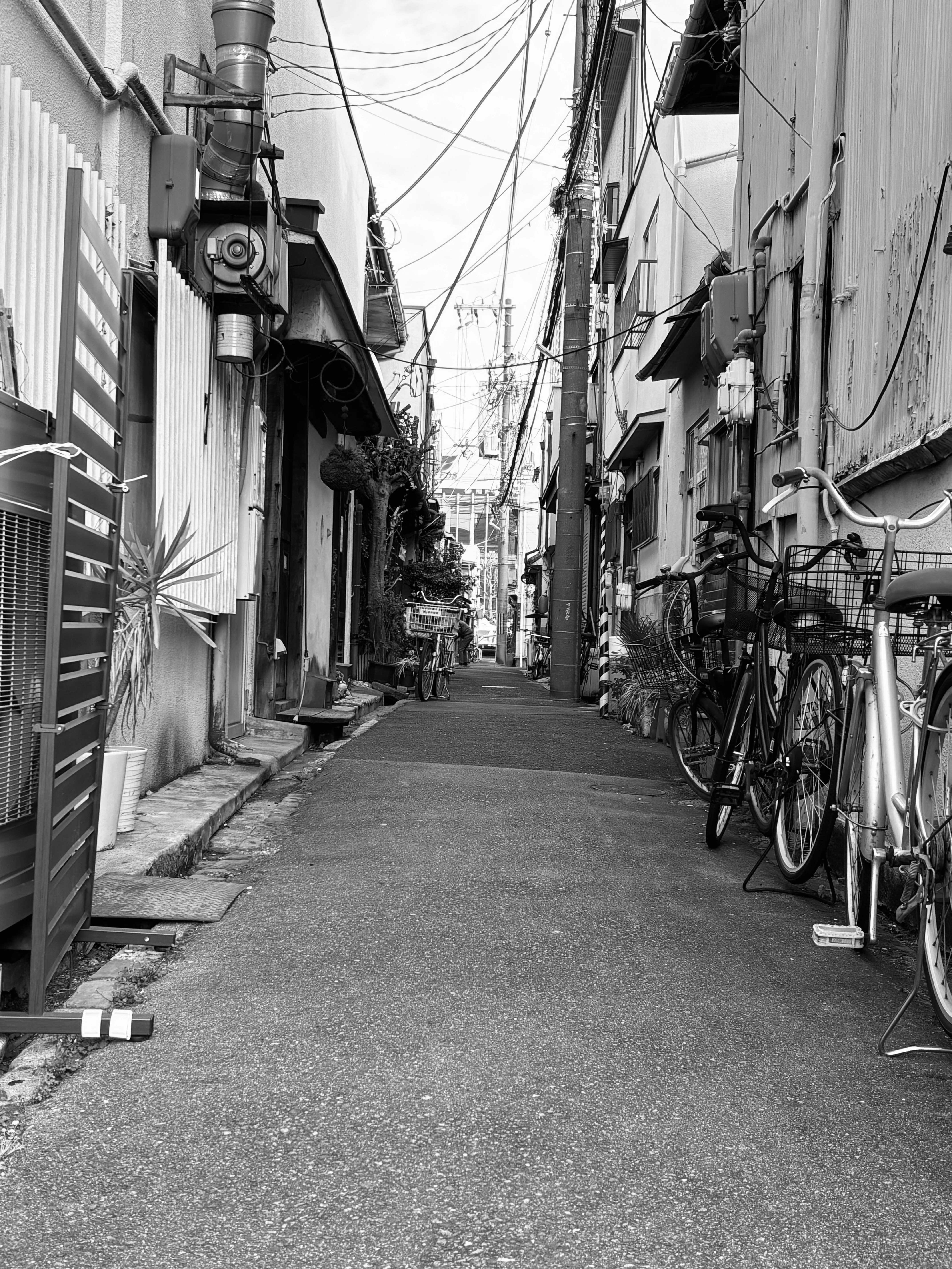商铺巷道里并排停放的自行车与店面