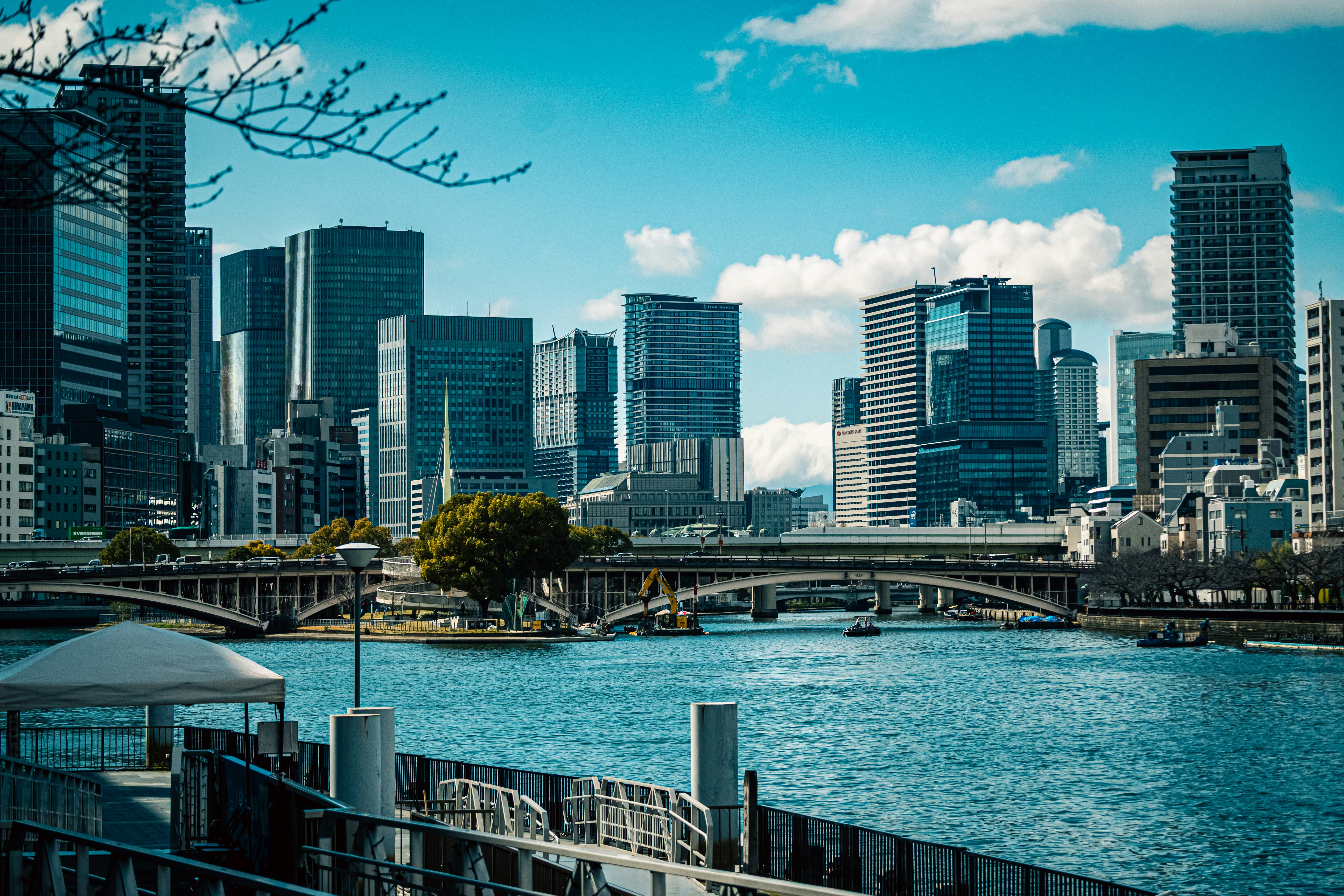 川沿いの都市の高層ビルと橋のある風景
