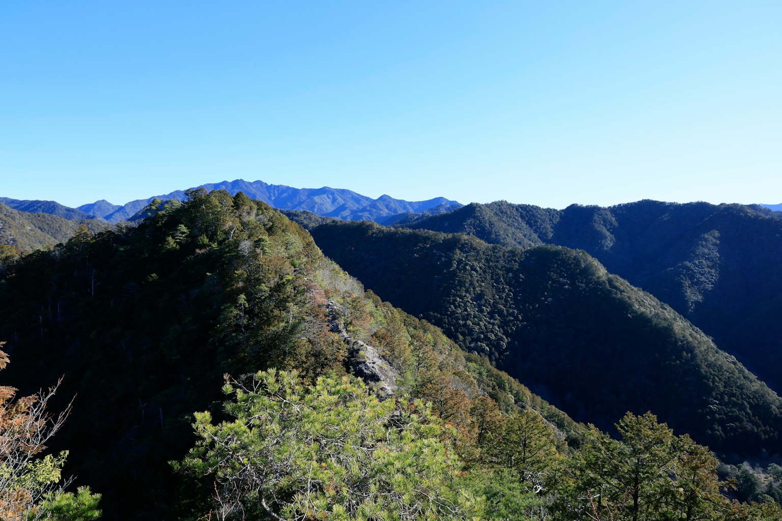 Paesaggio montano con cielo blu alberi verdi che coprono i versanti