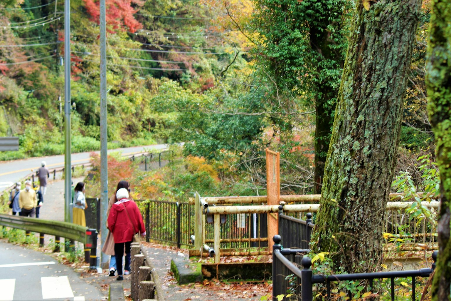 Vue pittoresque de personnes marchant au milieu du feuillage d'automne