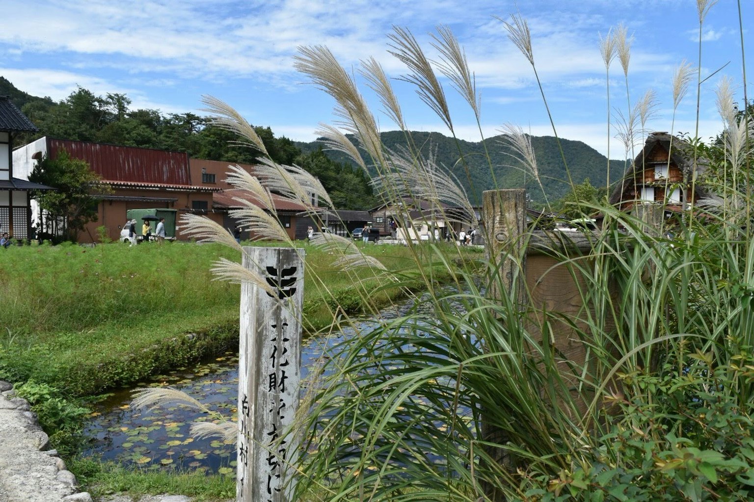 Pemandangan pedesaan yang tenang langit biru rumput pampas yang melambai dan rumah tradisional