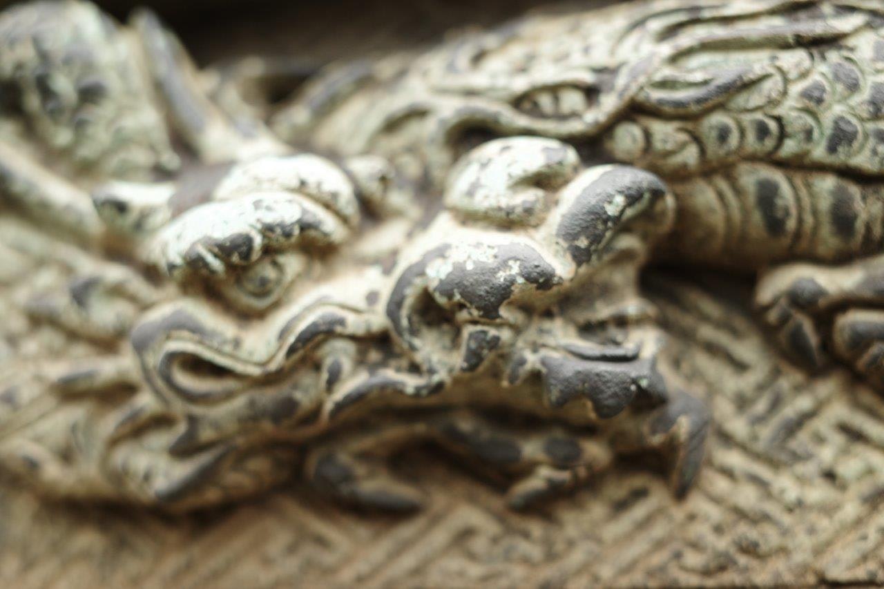 close-up of reptile scales and head