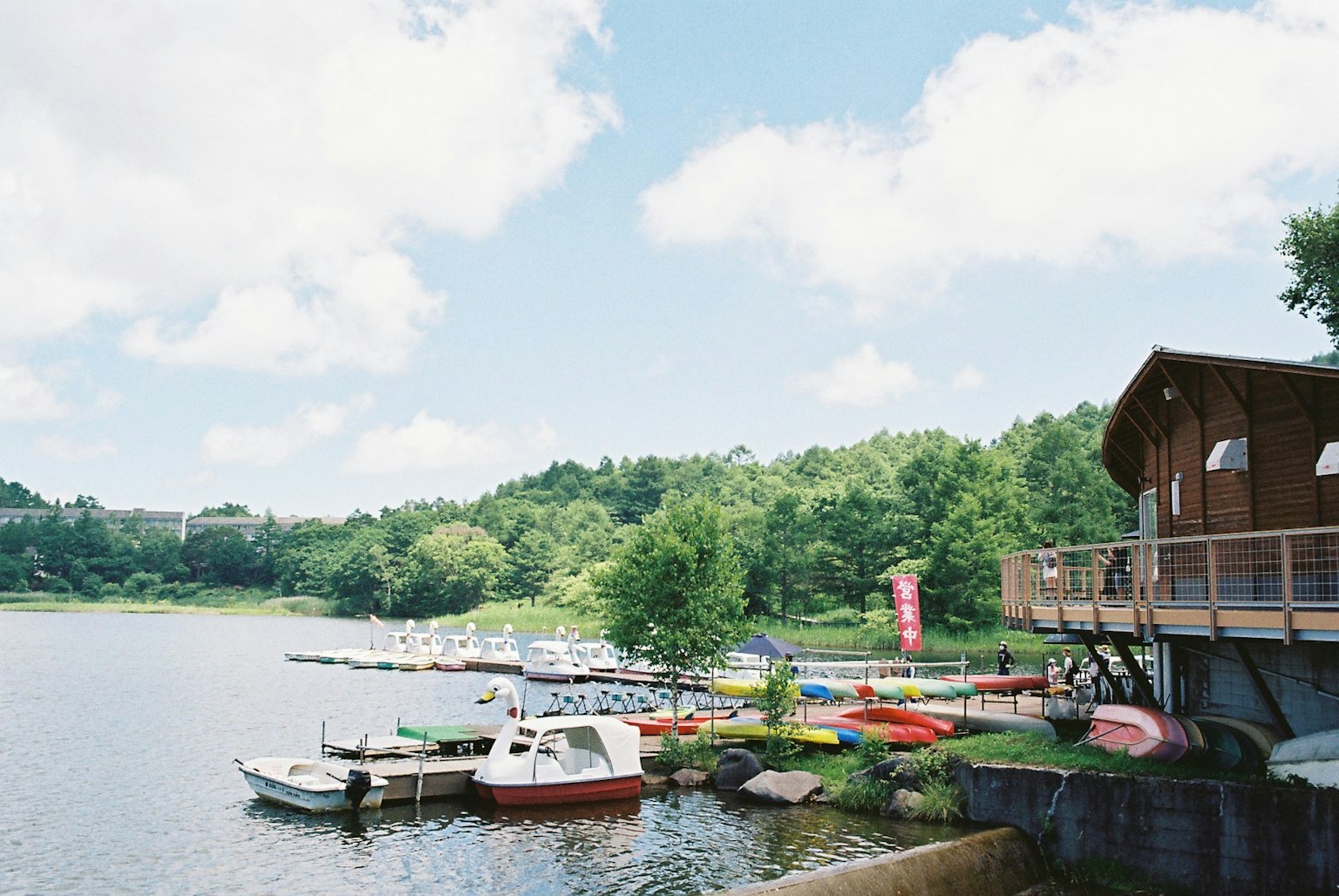 Bateaux colorés amarrés au bord du lac avec une verdure luxuriante
