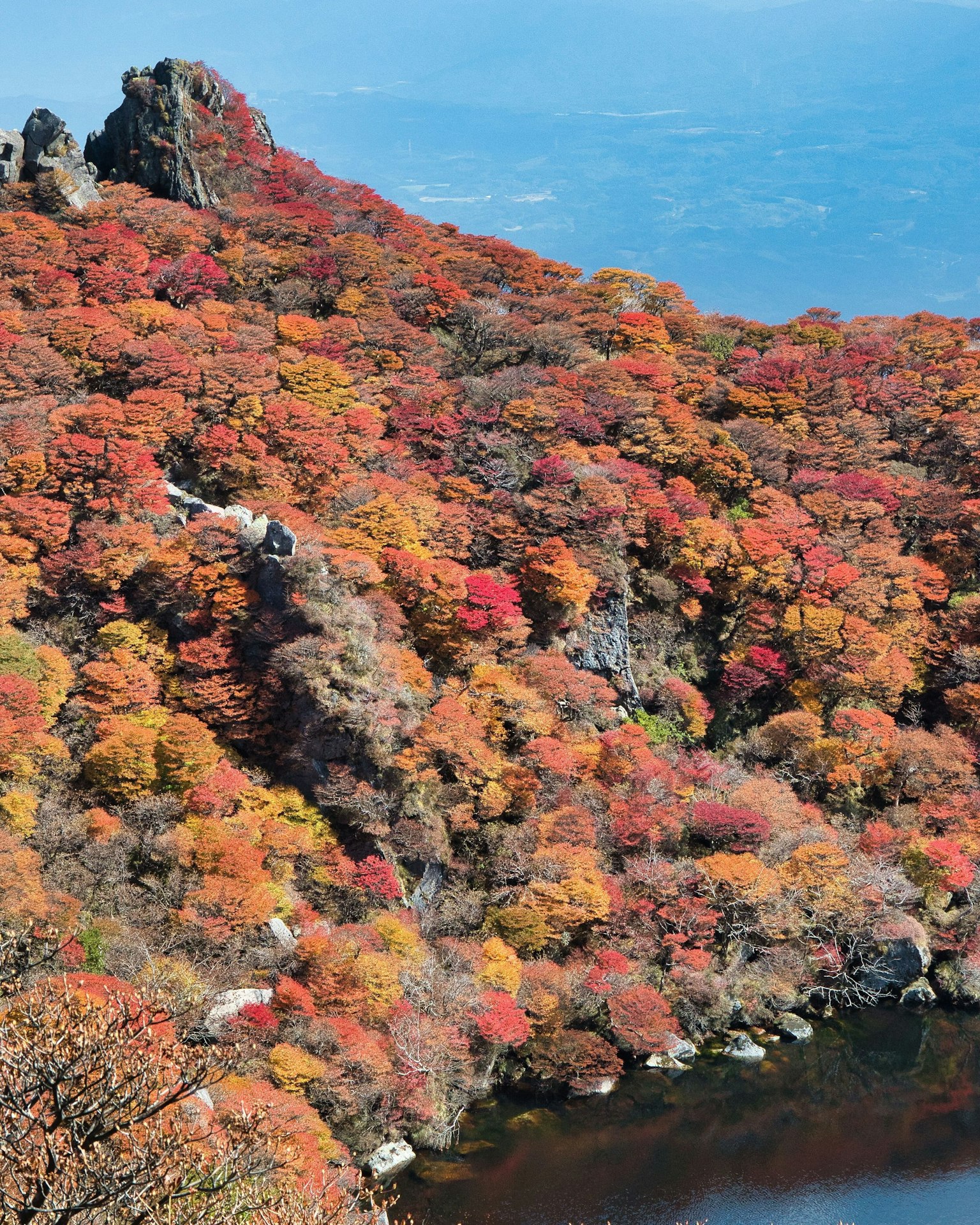 Bellissimo fogliame autunnale che copre un paesaggio montano
