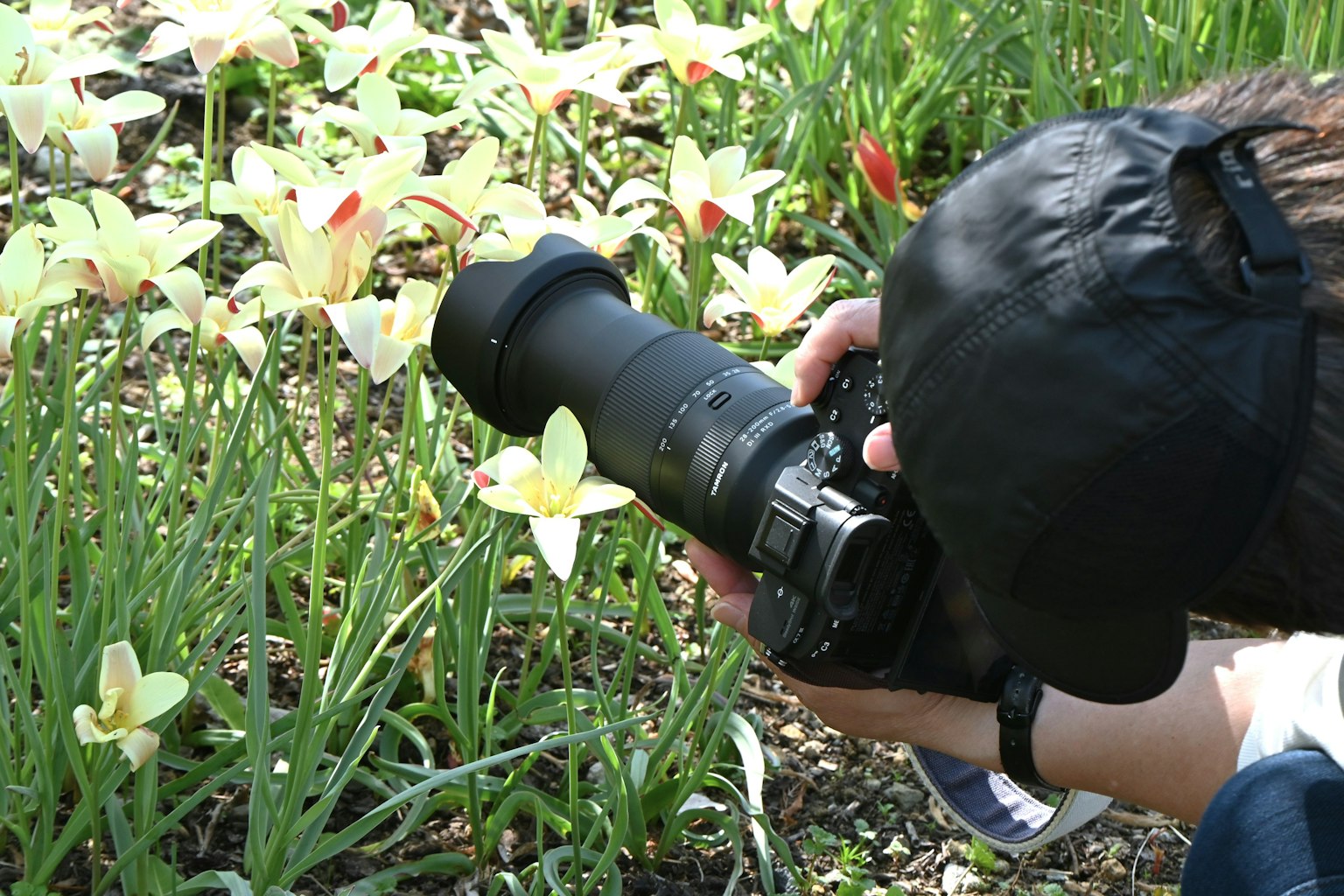 Une personne prenant une photo de fleurs avec un appareil photo