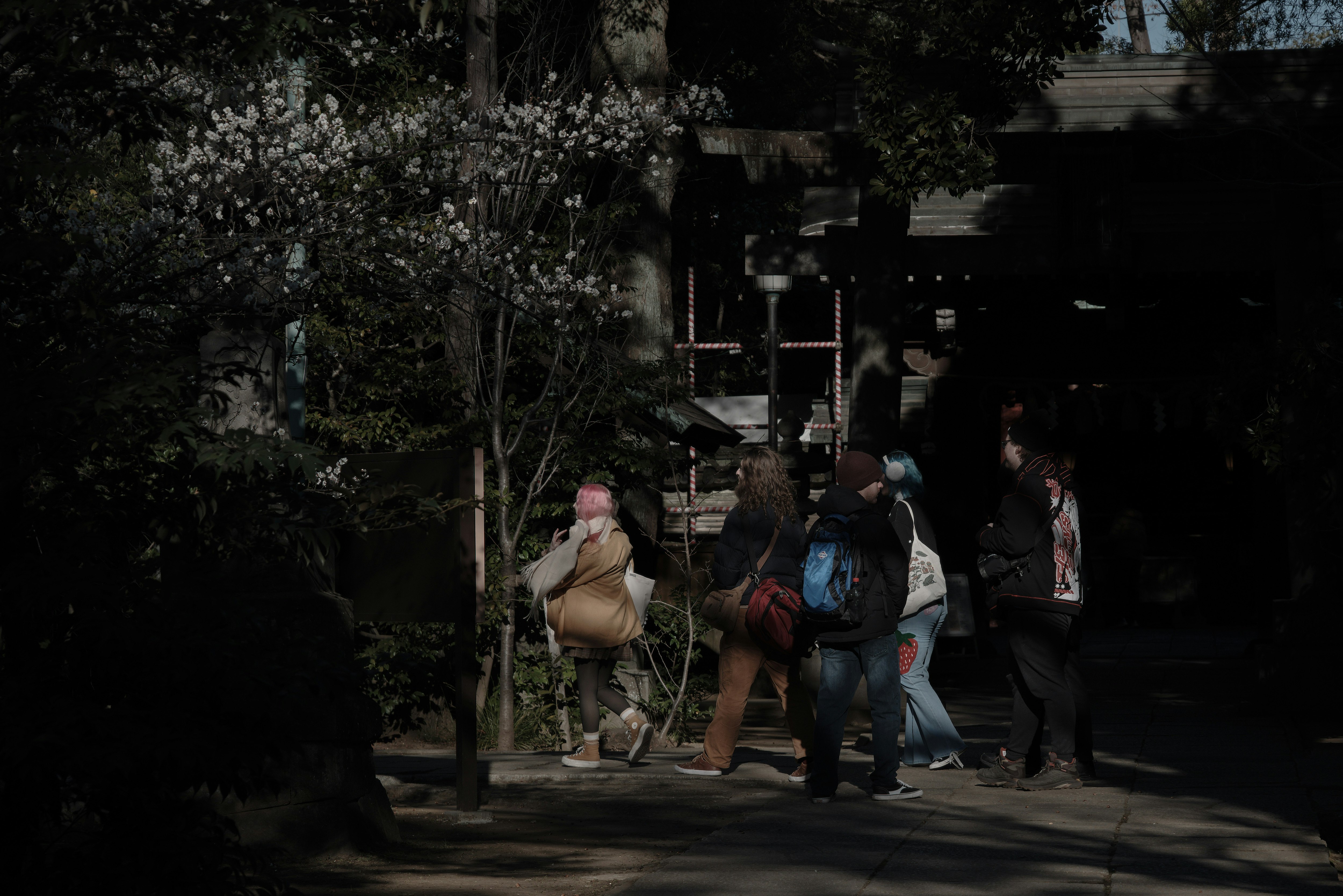桜の木の下で参拝客が並ぶ神社の参道