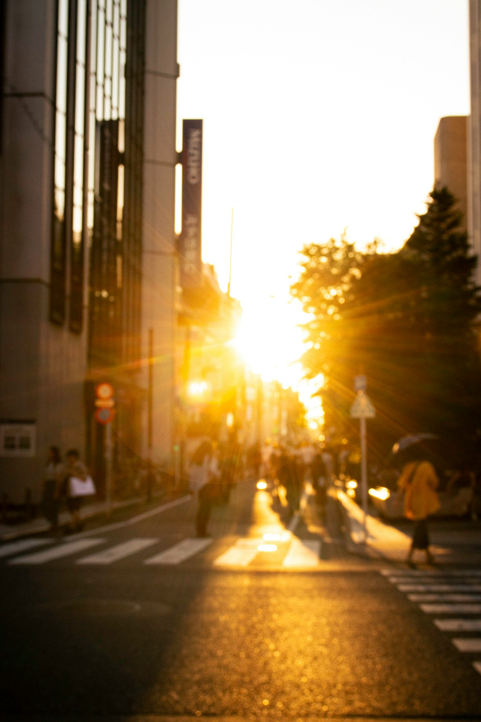夕日が差し込む交差点で歩行者が行き交う街の風景