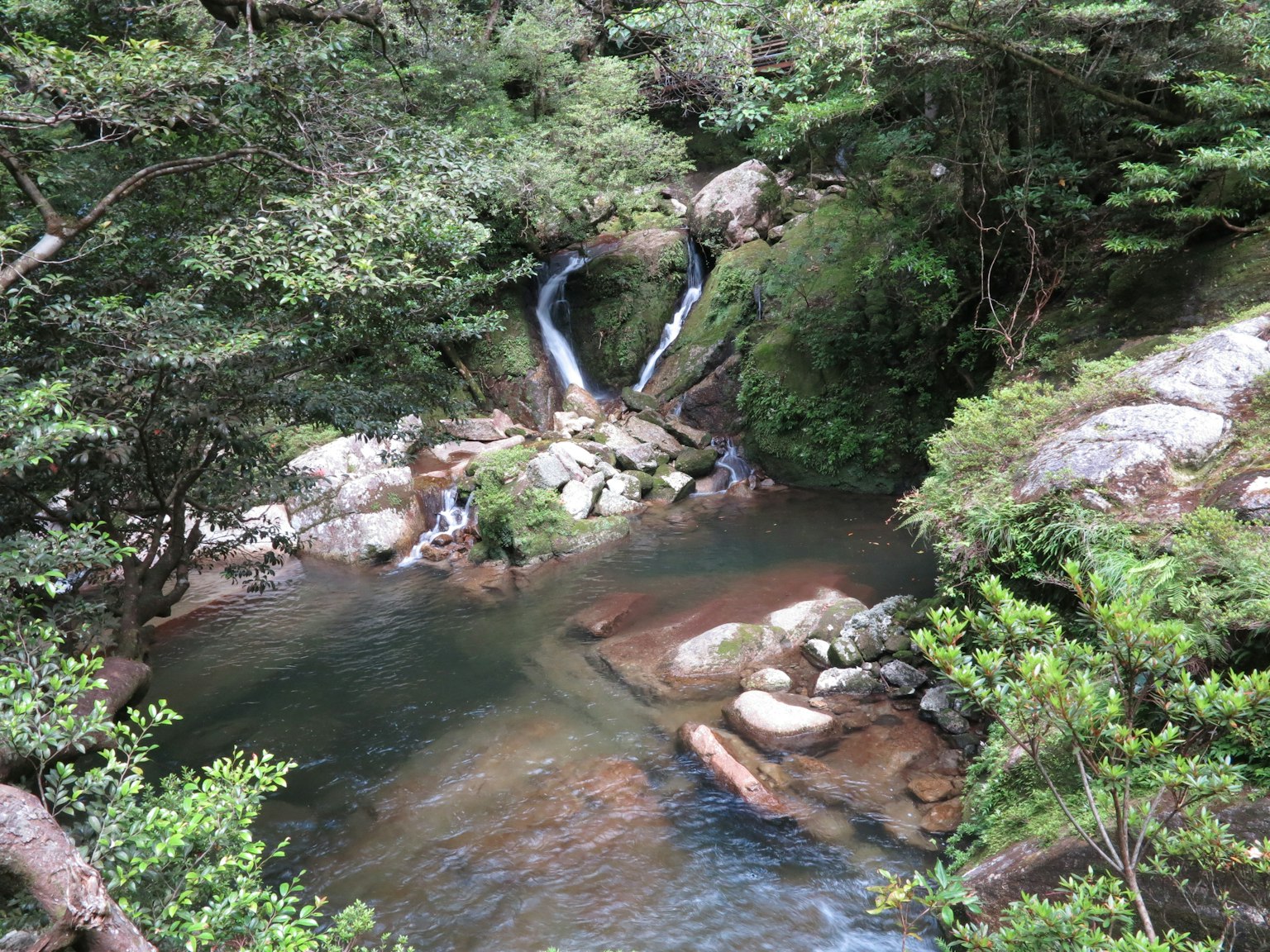 Pemandangan indah aliran sungai dengan air terjun dikelilingi oleh pepohonan rimbun
