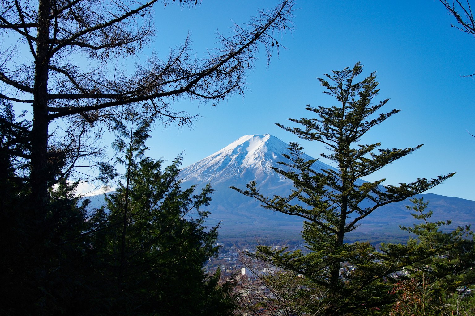 ทิวทัศน์ที่สวยงามของภูเขาฟูจิที่มียอดเขาปกคลุมด้วยหิมะใต้ท้องฟ้าสีฟ้าใสที่ถูกล้อมรอบด้วยต้นไม้เขียวขจี
