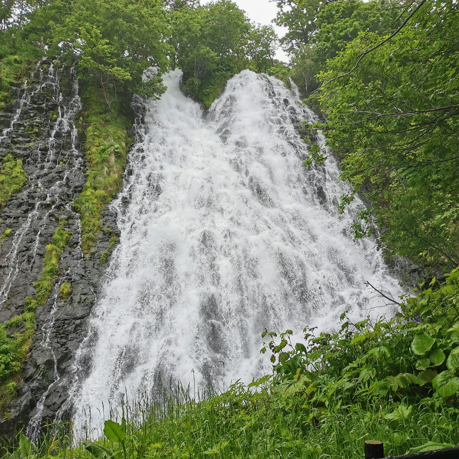 Una hermosa cascada rodeada de vegetación con agua salpicando
