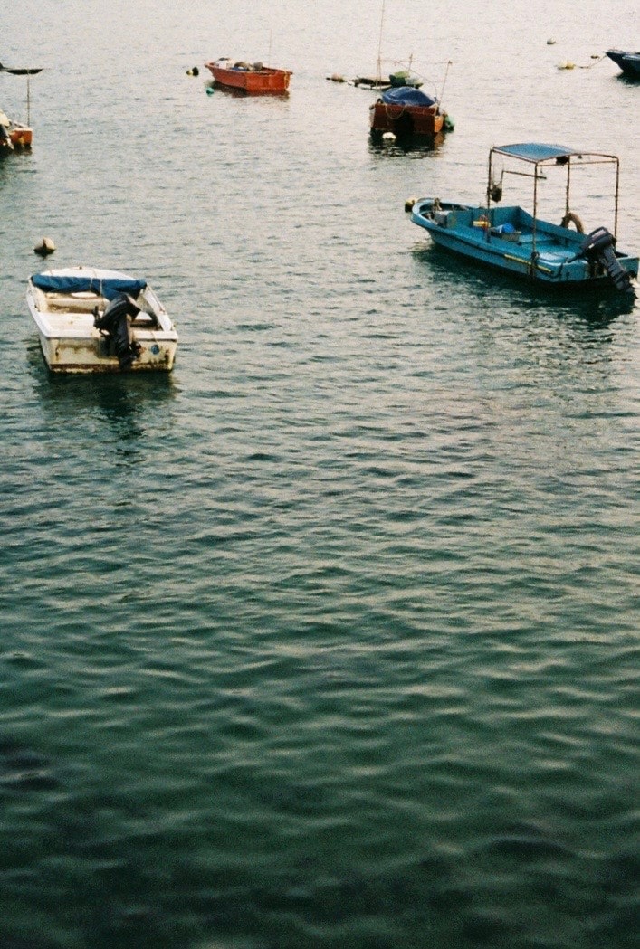 水面に浮かぶ小型ボートが並ぶ港の風景