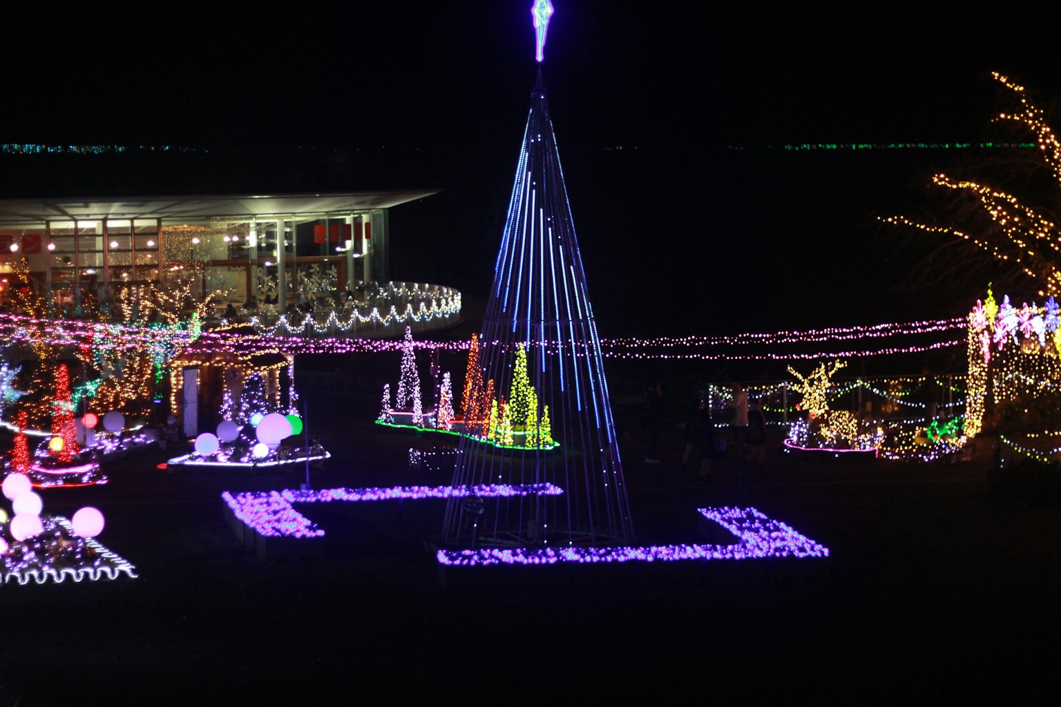 A nighttime scene featuring colorful holiday lights A beautifully decorated Christmas tree with vibrant lights and festive displays