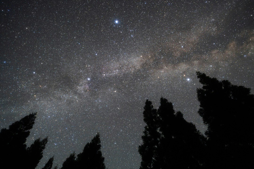 銀河與繁星鋪滿的夜空，樹木剪影