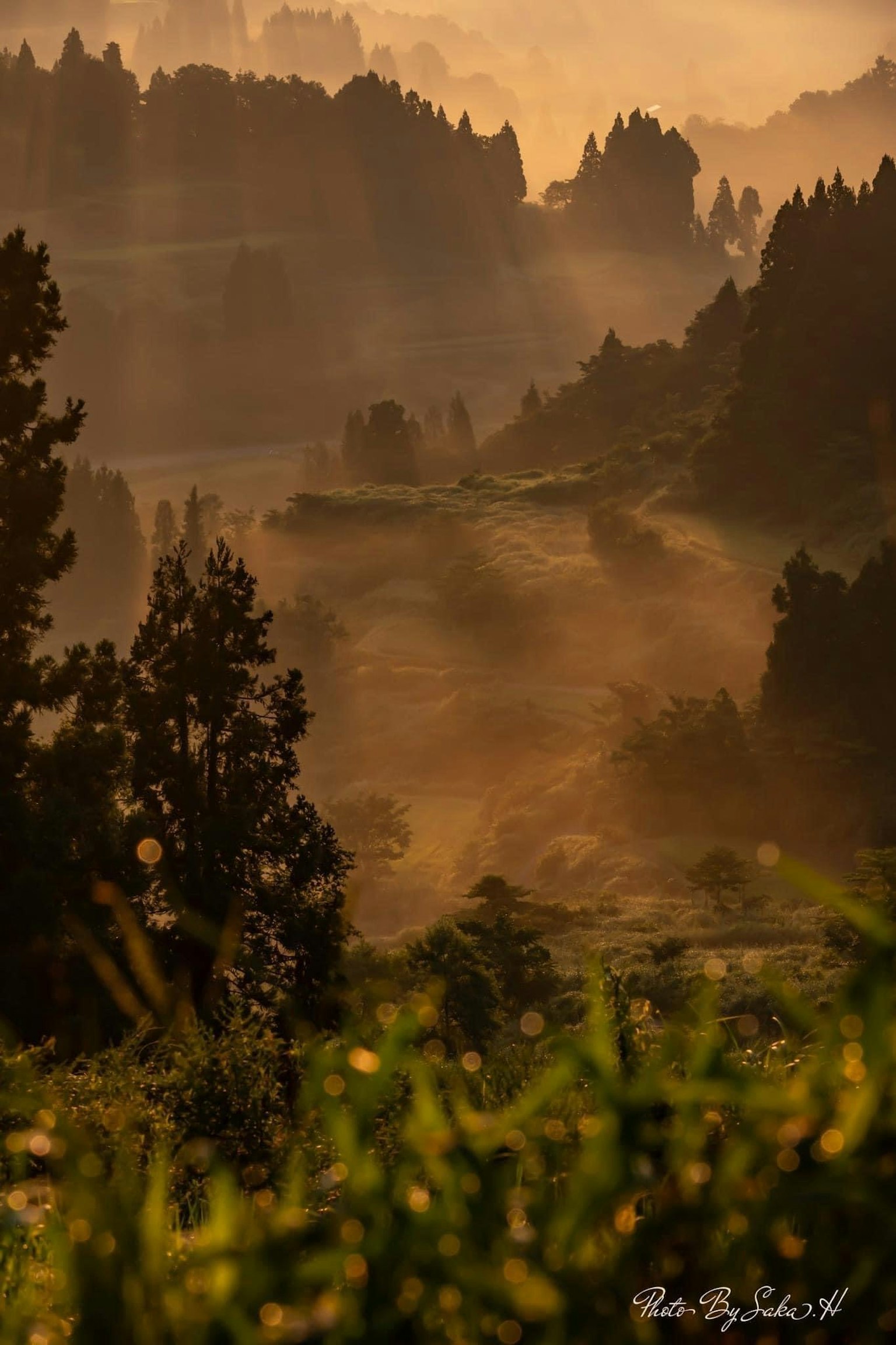 雾气弥漫的山脉和透过阳光的美丽风景