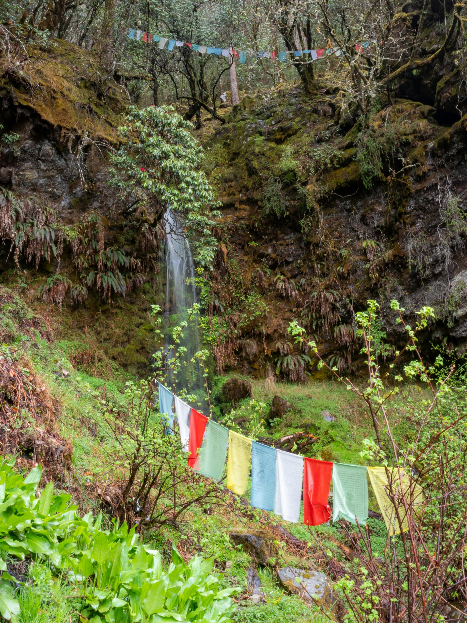 Paesaggio verdeggiante con una cascata e bandiere di preghiera colorate