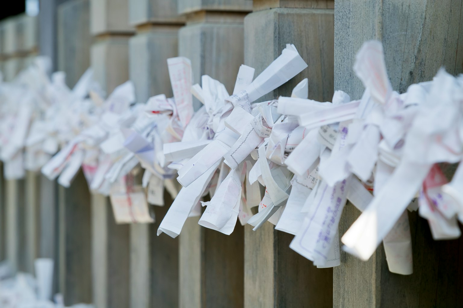 Racimos de omikuji blancos atados a pilares de madera en un santuario