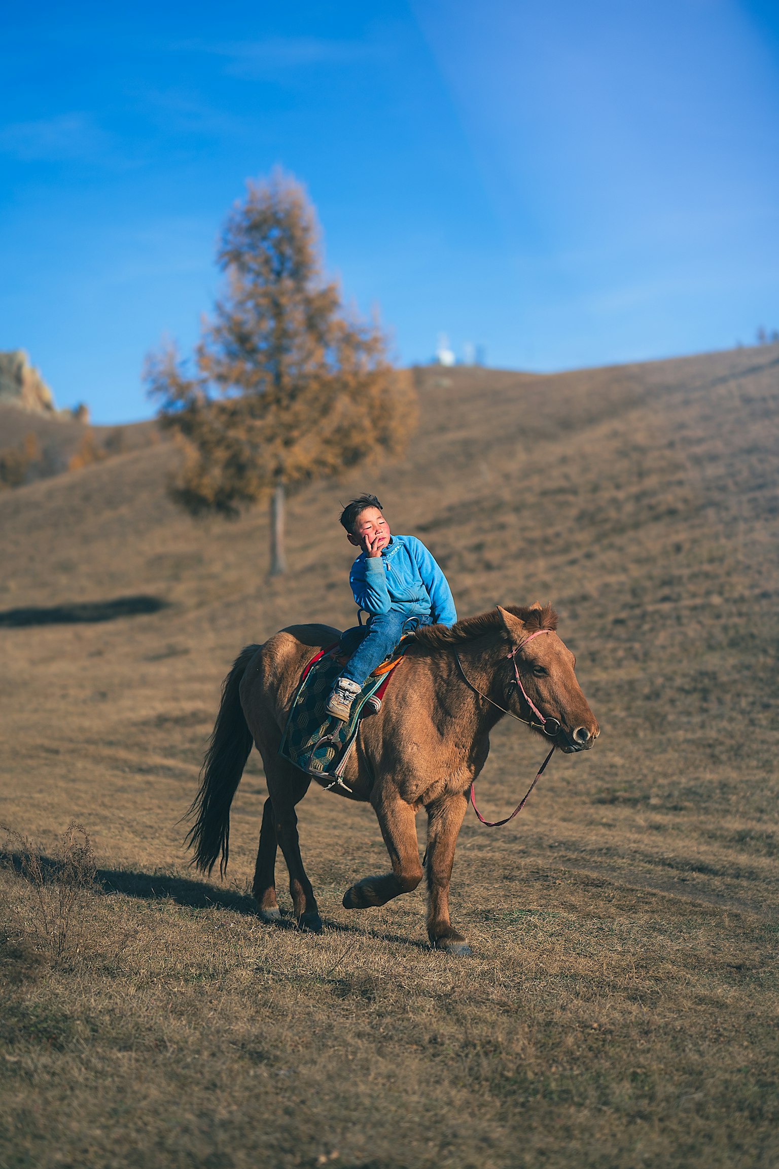 Homme en chemise bleue montant un cheval sur une colline