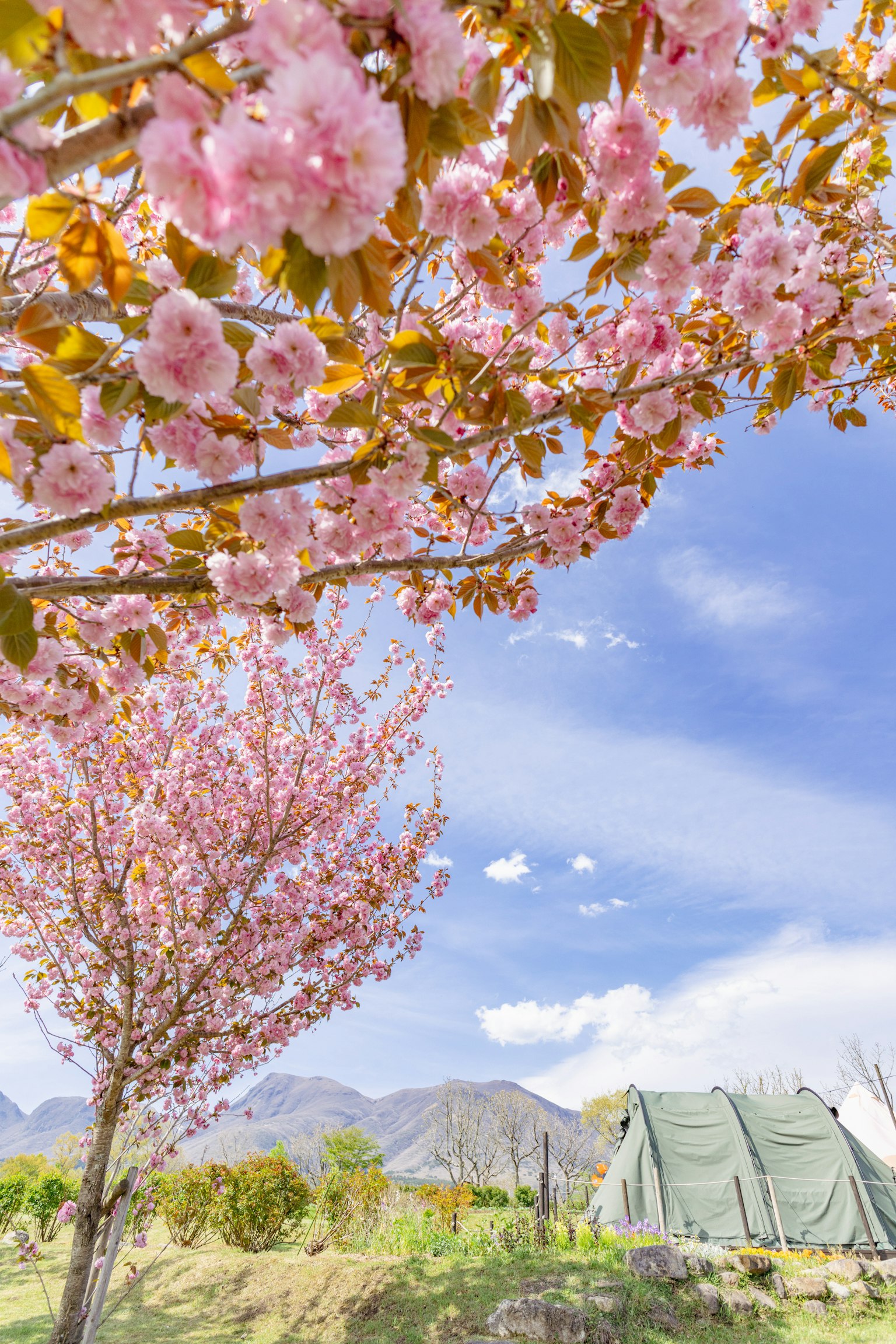 photo-ZSZqN164GPw2hF5pzsMN-image