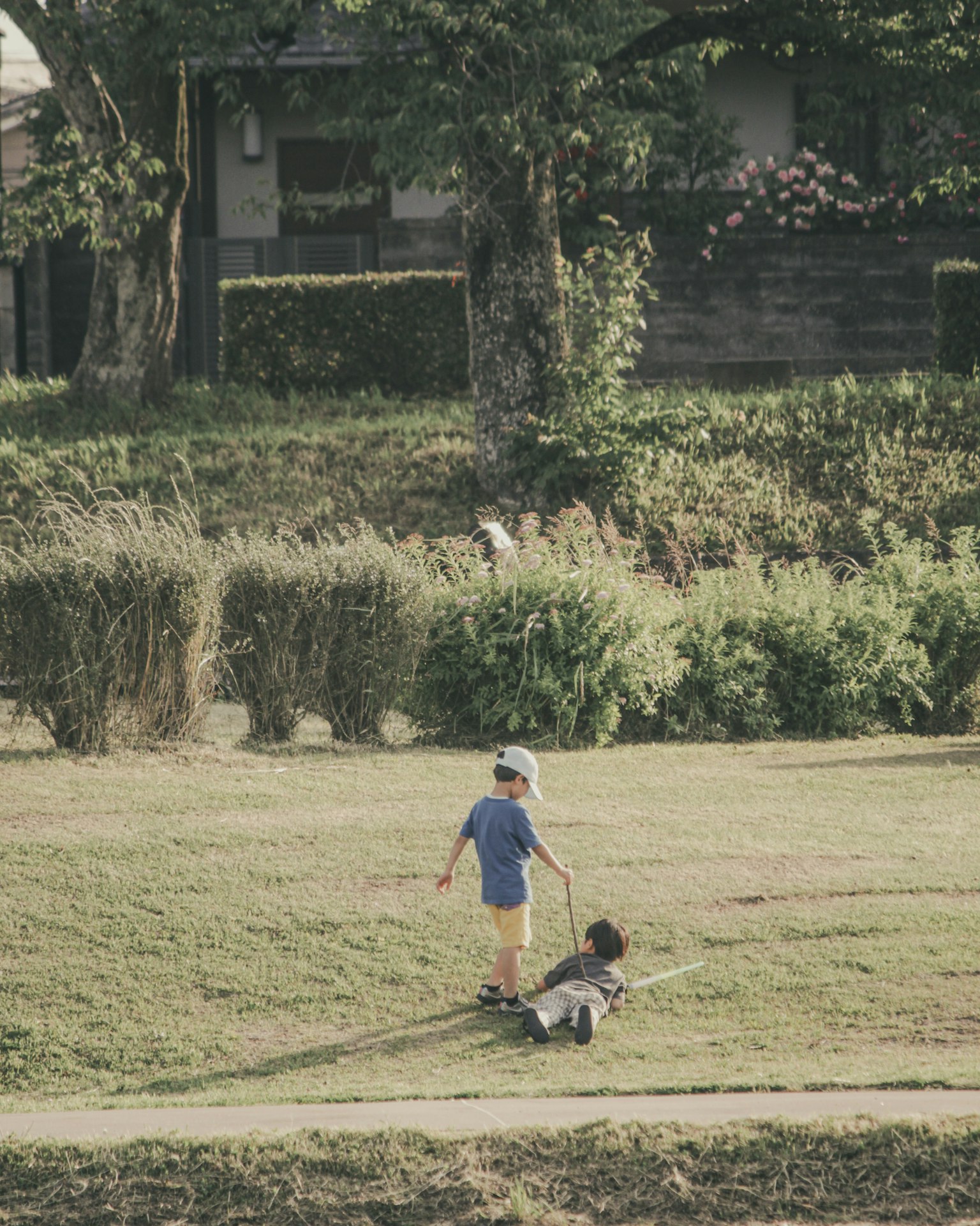 Children playing in a park with green grass and trees