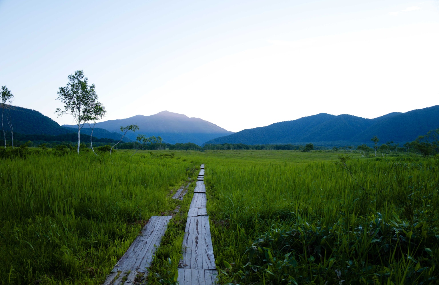Camino de madera que atraviesa un amplio campo de hierba con montañas de fondo