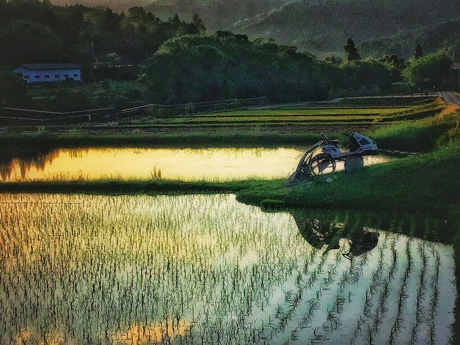 การสะท้อนของพระอาทิตย์ตกในนาข้าวพร้อมภูเขาในพื้นหลัง