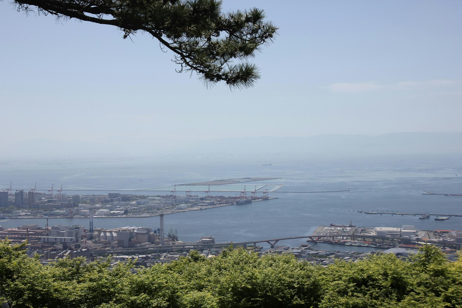 Panoramic view of a blue sea and sky, featuring a town and harbor, with a tree branch in the foreground