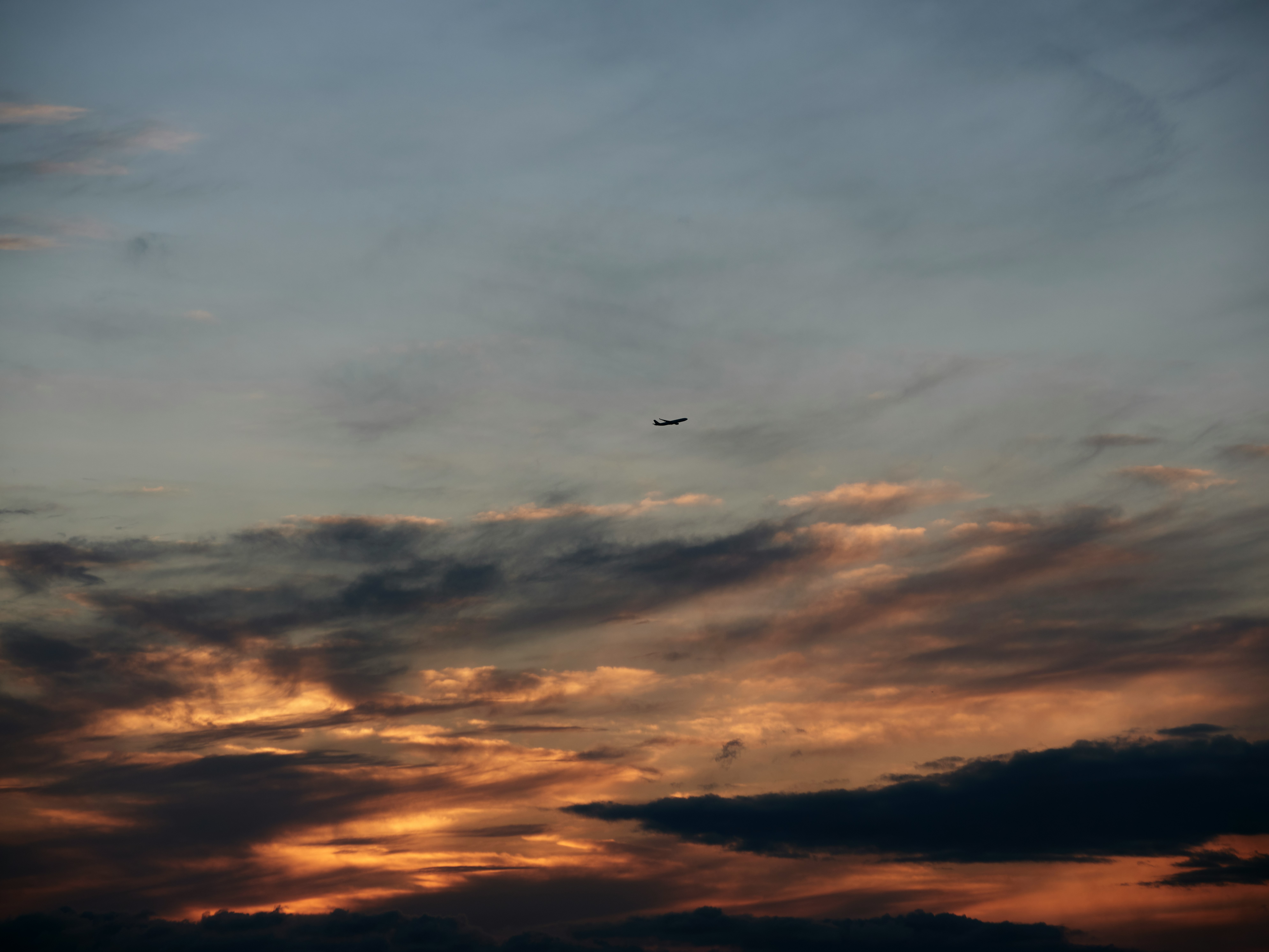 夕陽天空中的雲層與一隻小鳥
