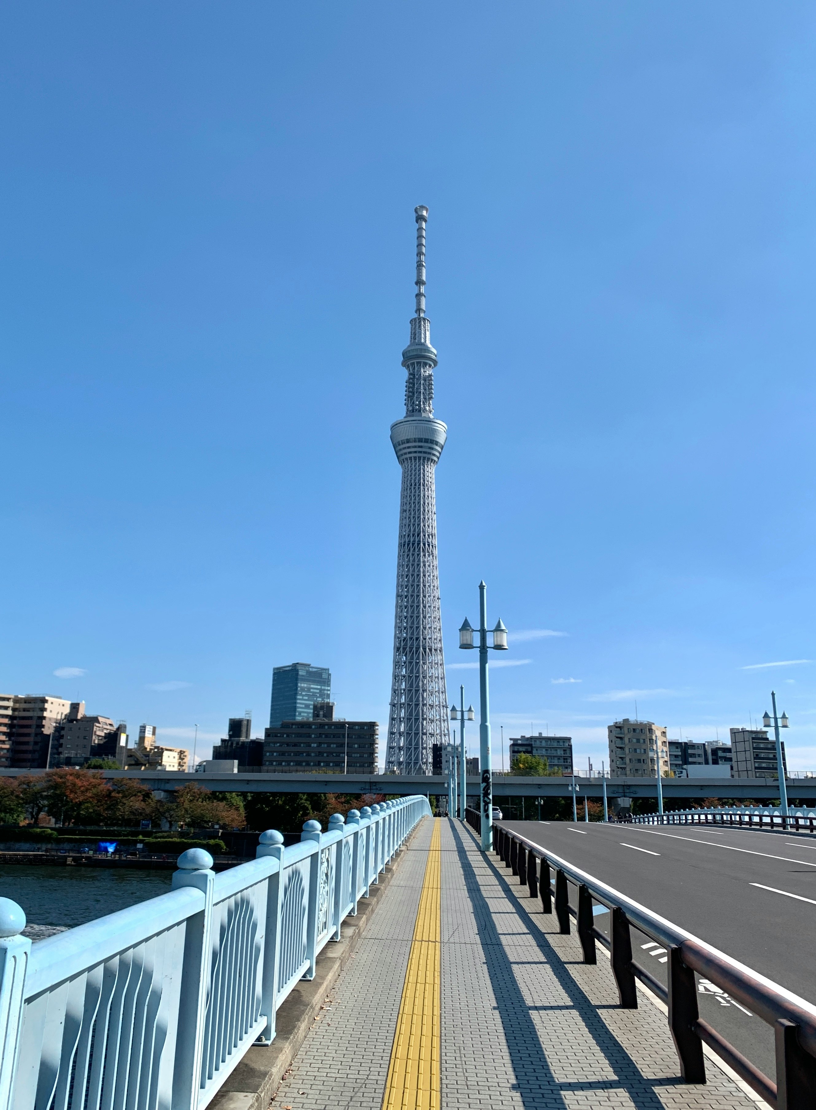 スカイツリーと川沿いの遊歩道の眺め